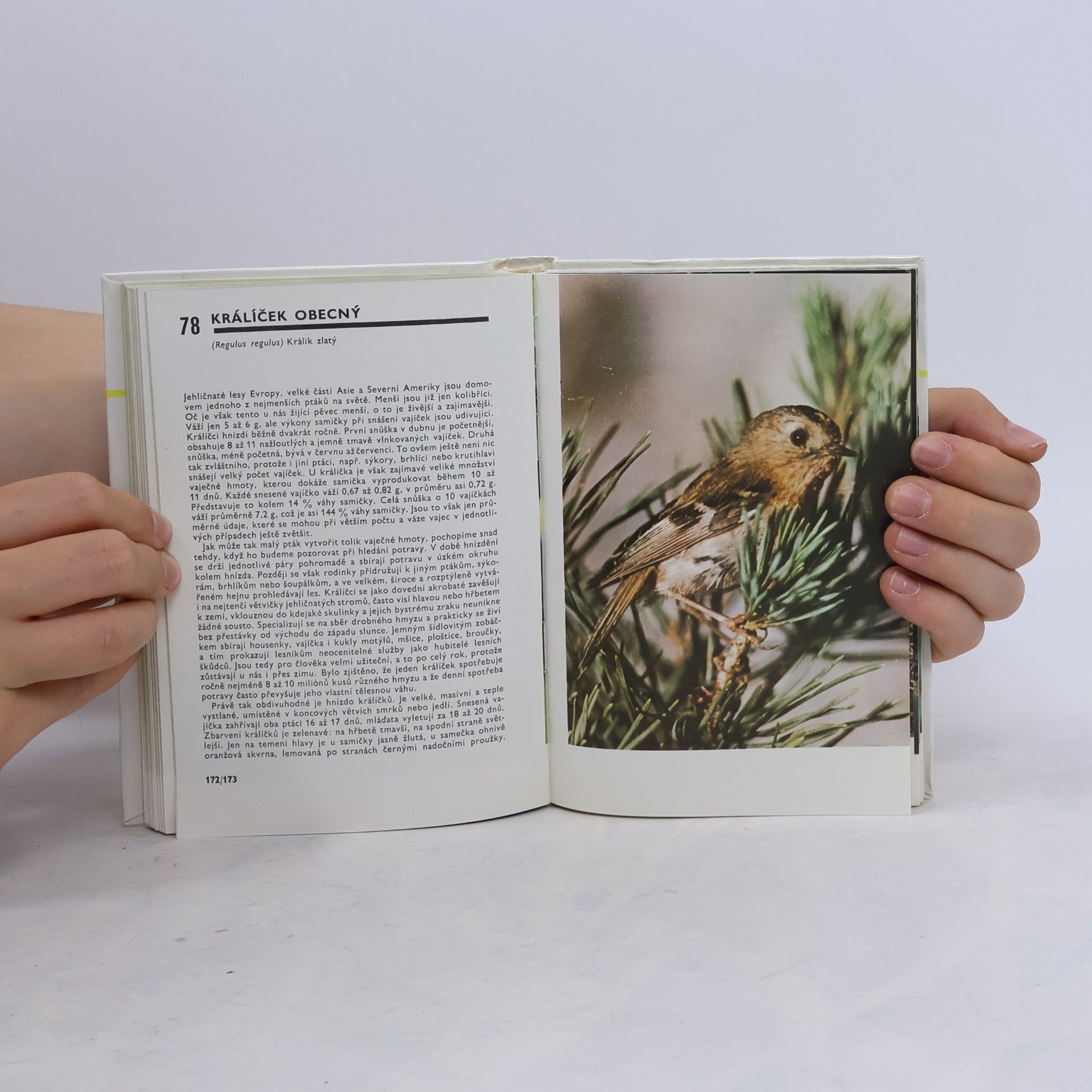 Miroslav Bouchner Kapesní atlas ptáků