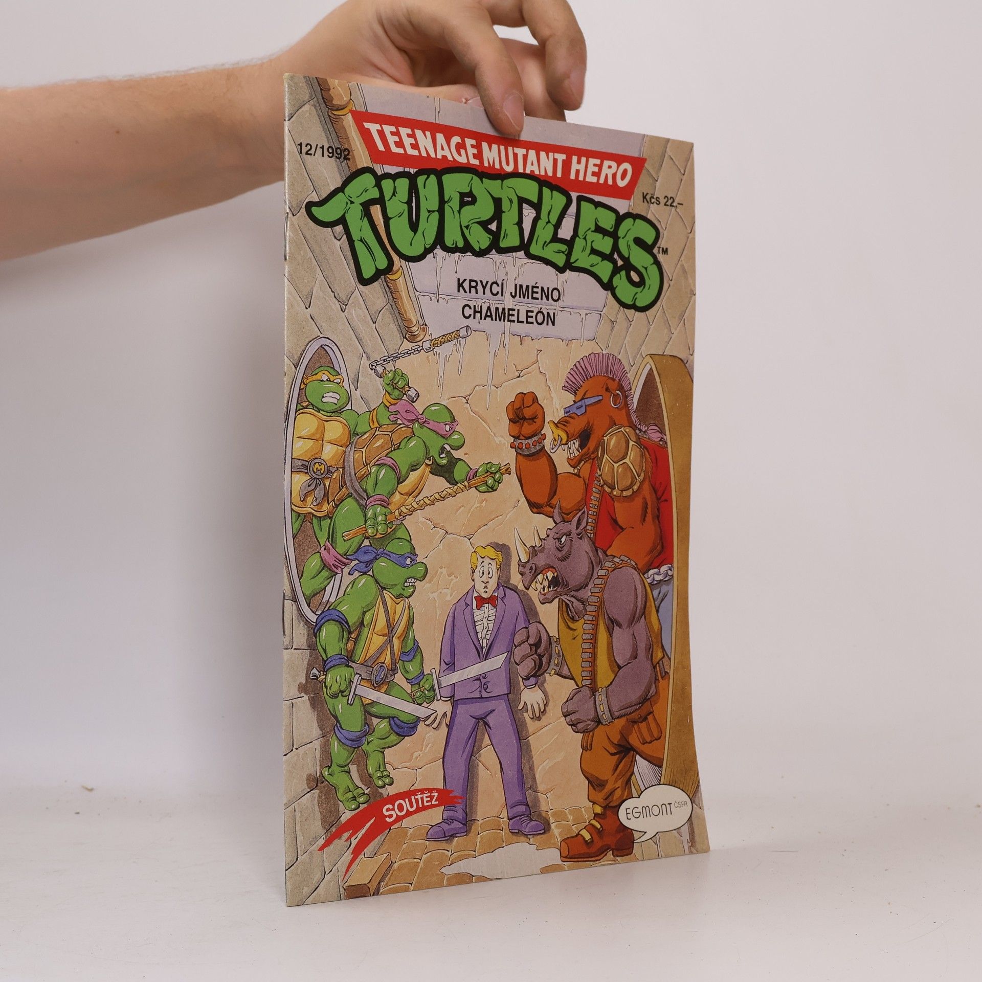 Dean Clarrain Teenage Mutant Hero Turtles #12