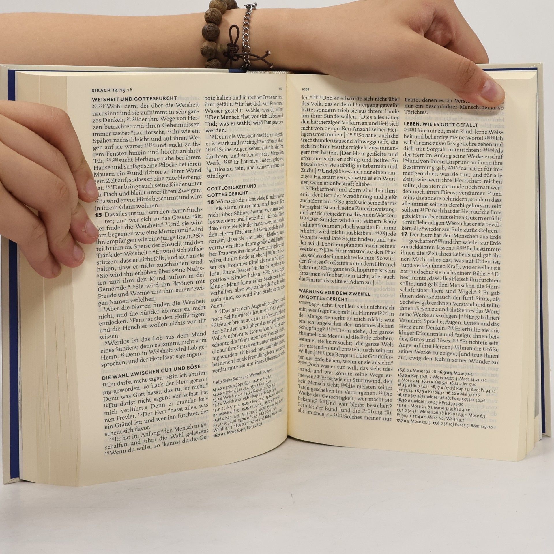 Martin Luther Die Bibel