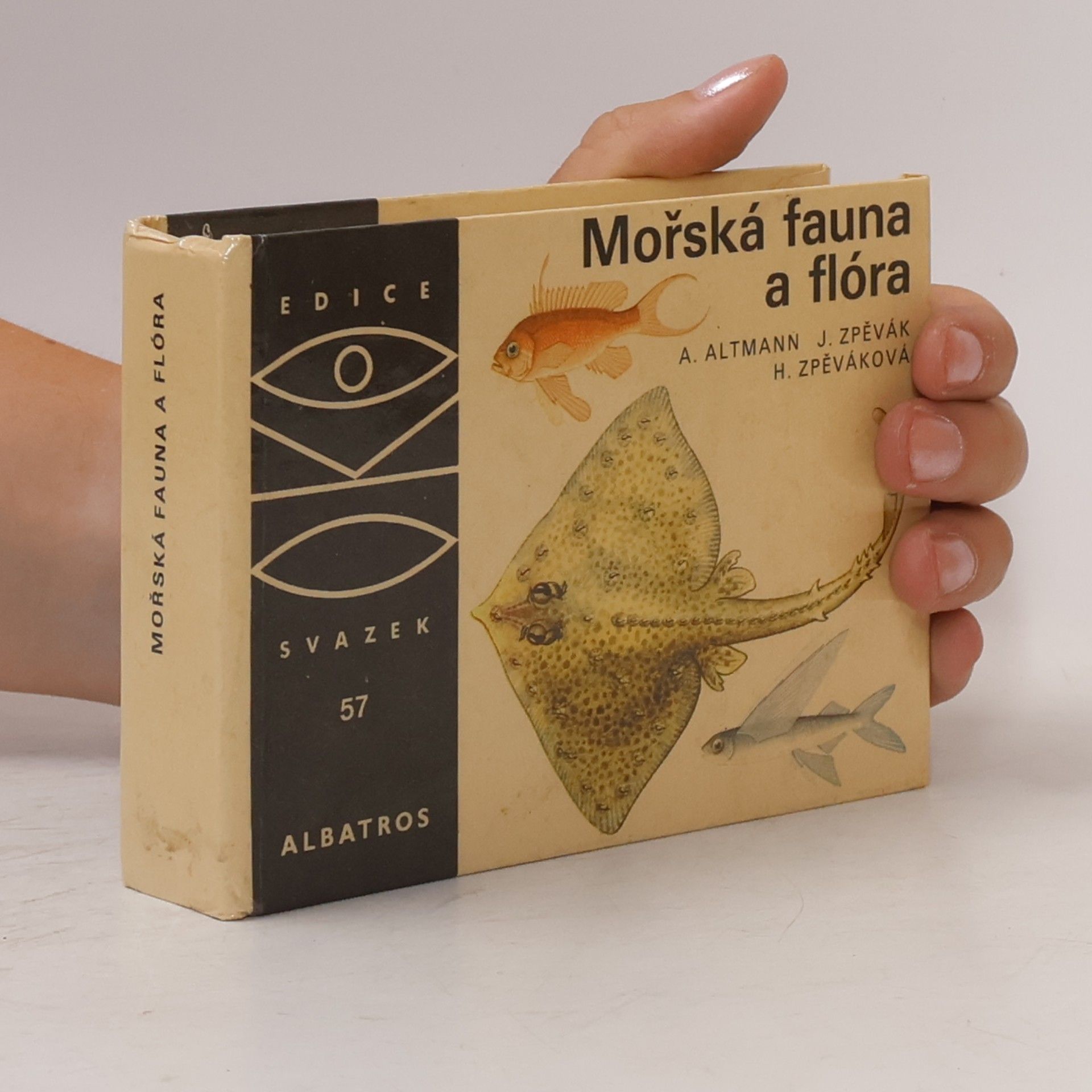 Antonín Altmann Mořská fauna a flóra