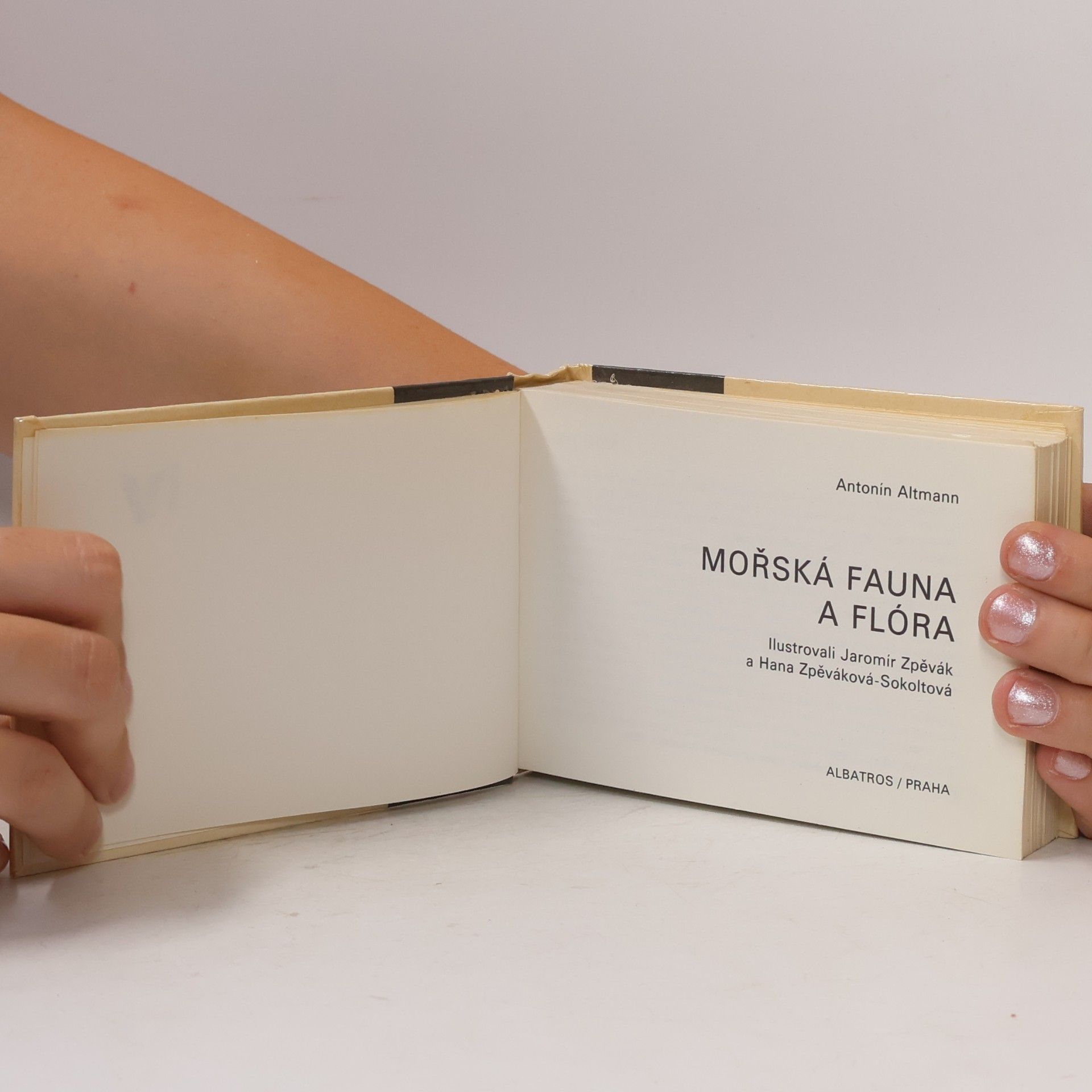 Antonín Altmann Mořská fauna a flóra