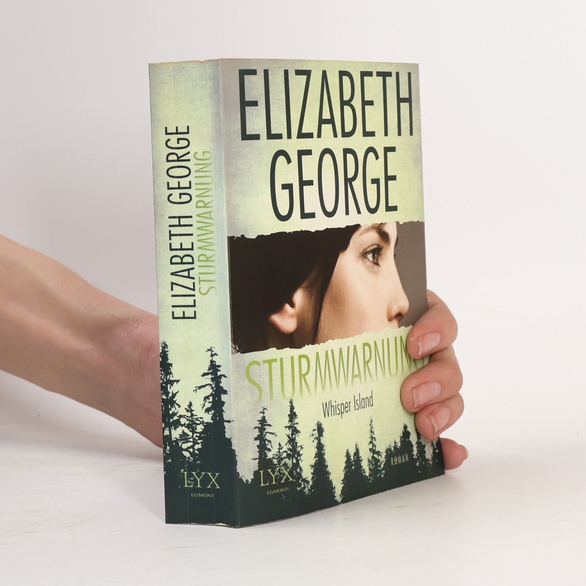Elizabeth George Sturmwarnung: Whisper Island