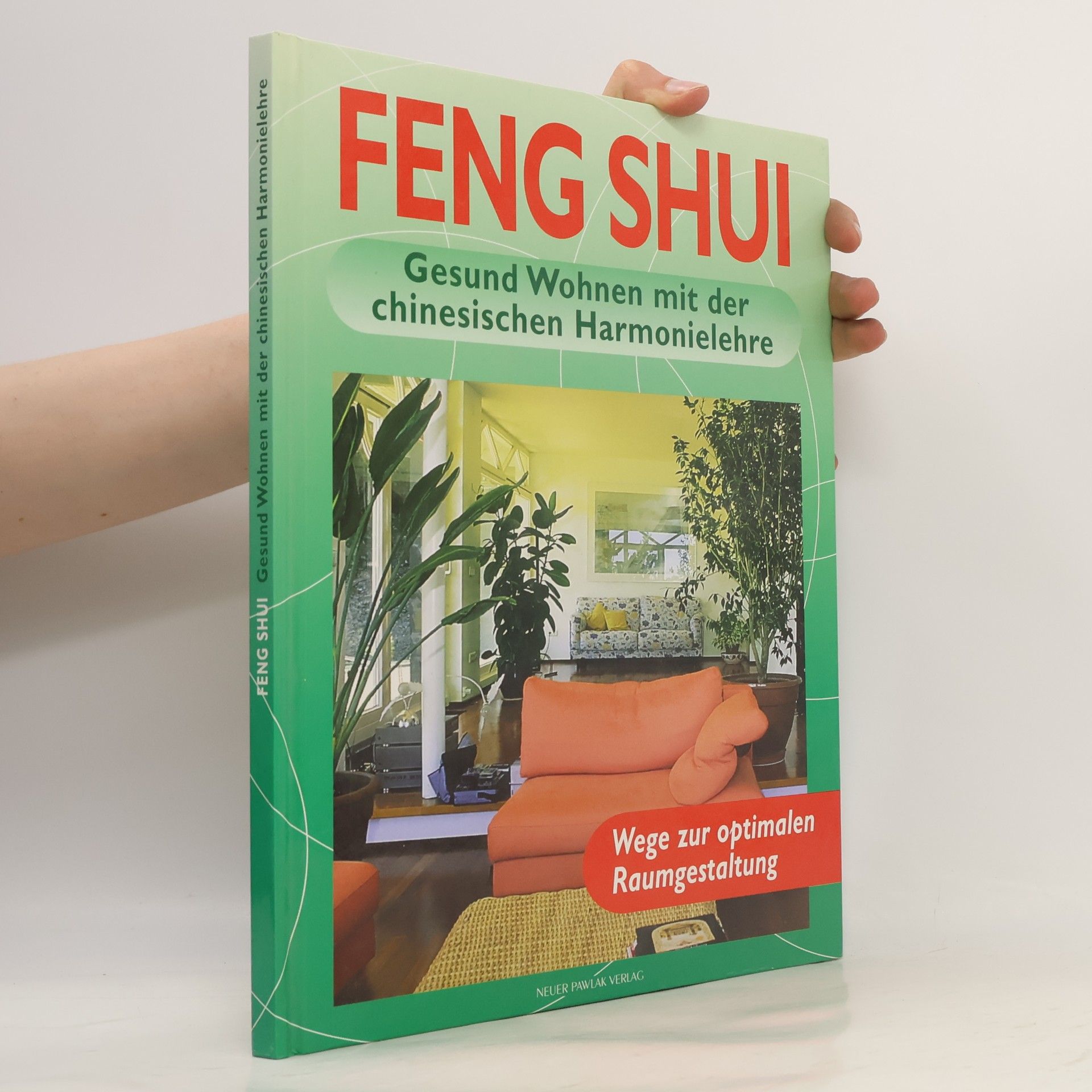 Georgia Schwarz Feng Shui