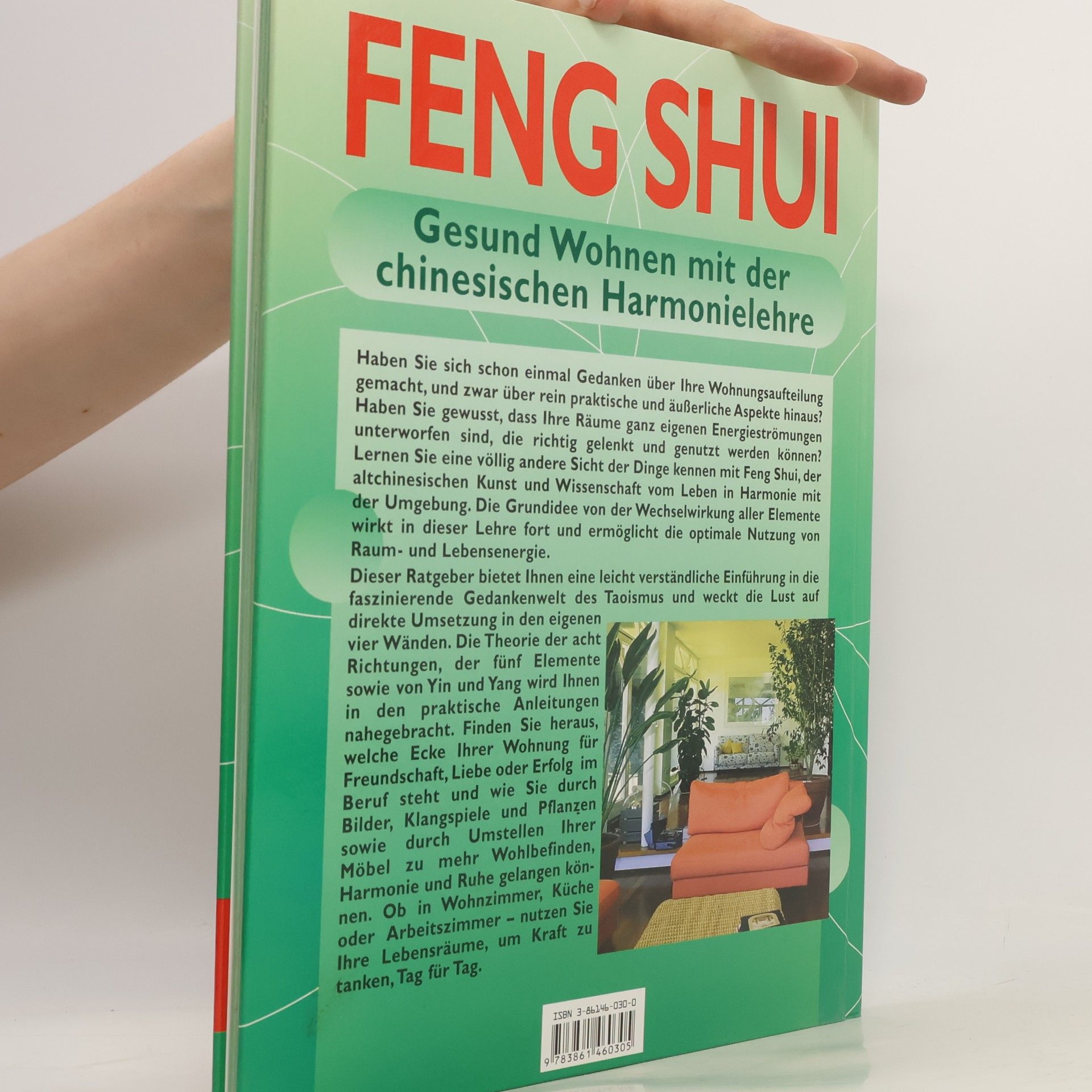 Georgia Schwarz Feng Shui