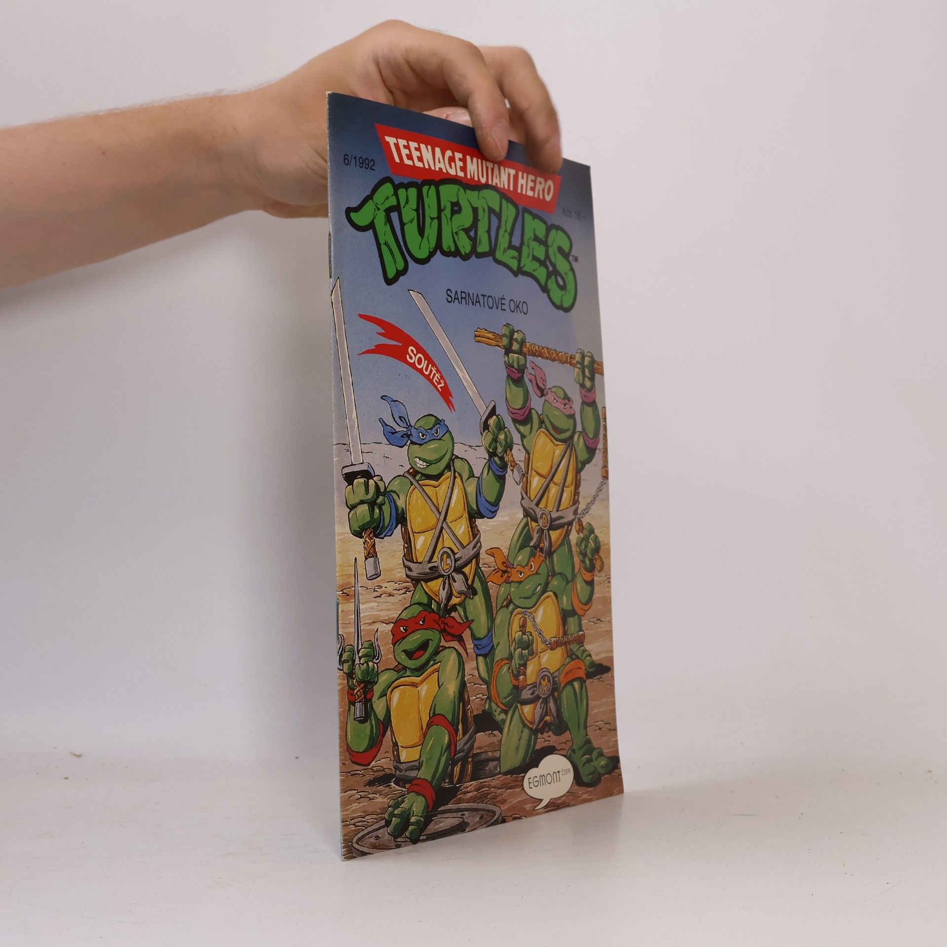 Beth Mitchroney Teenage Mutant Hero Turtles #06