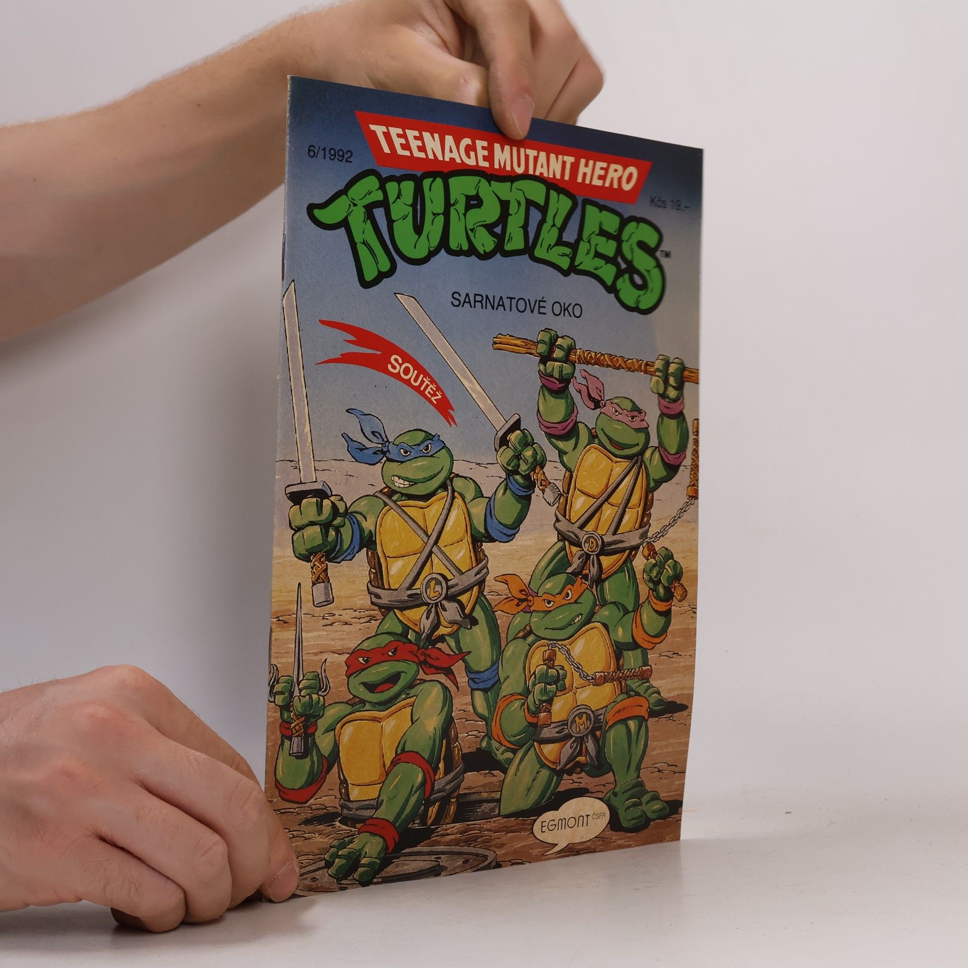 Beth Mitchroney Teenage Mutant Hero Turtles #06