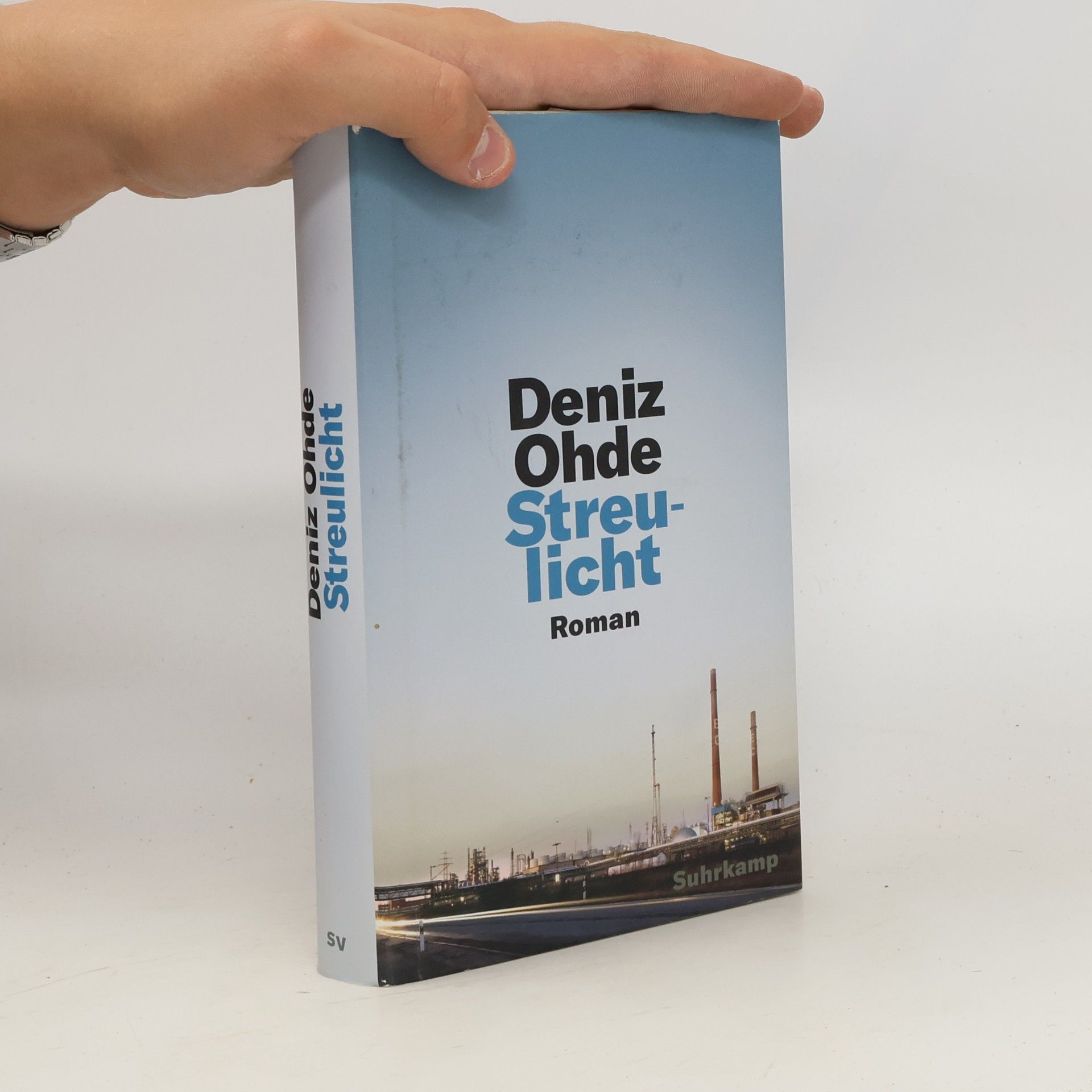 Deniz Ohde Streulicht