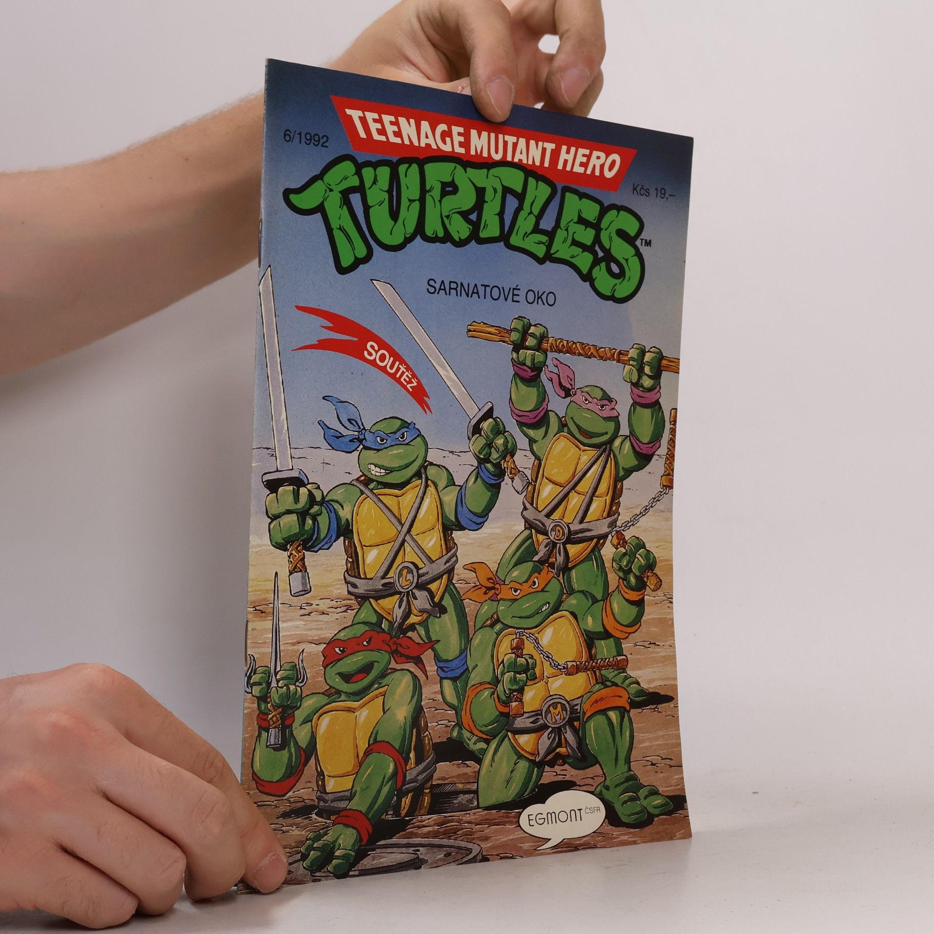 Beth Mitchroney Teenage Mutant Hero Turtles #06
