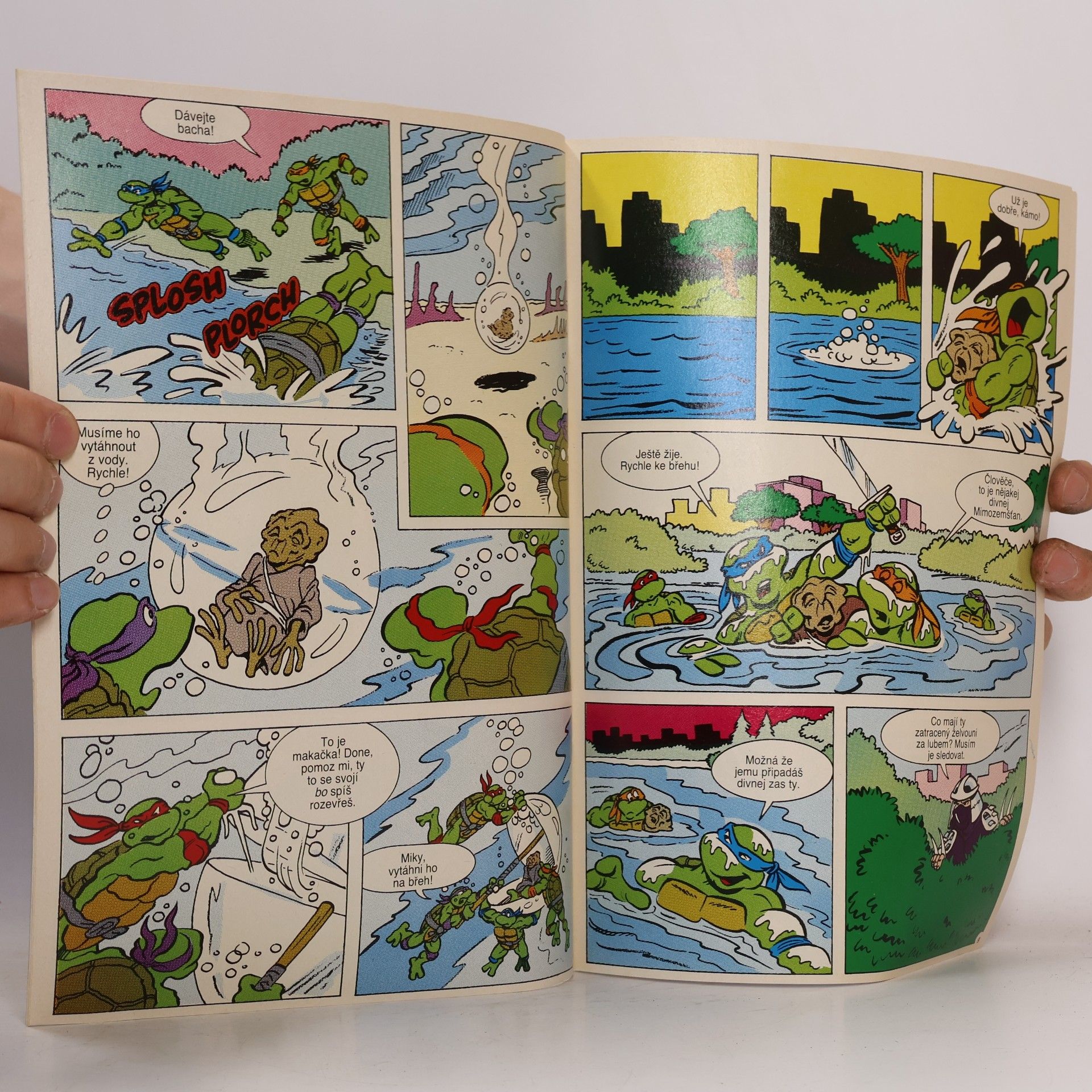 Beth Mitchroney Teenage Mutant Hero Turtles #06
