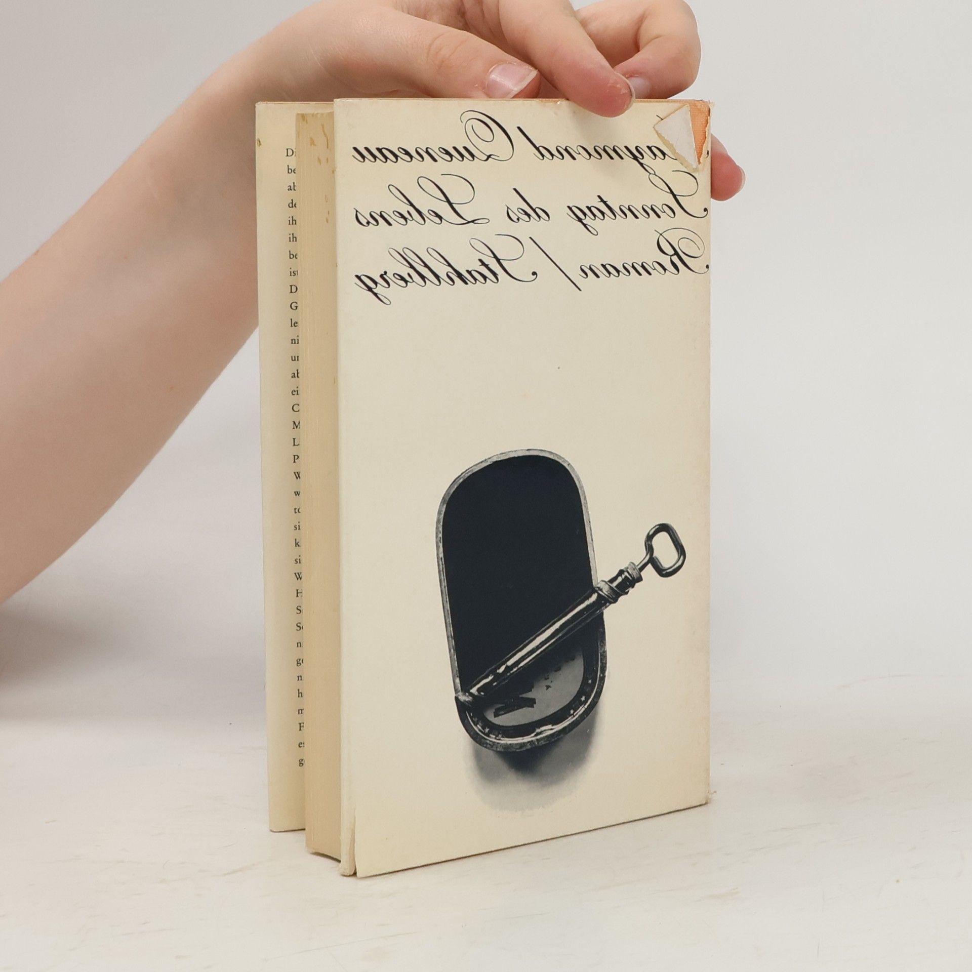 Raymond Queneau Sonntag des Lebens