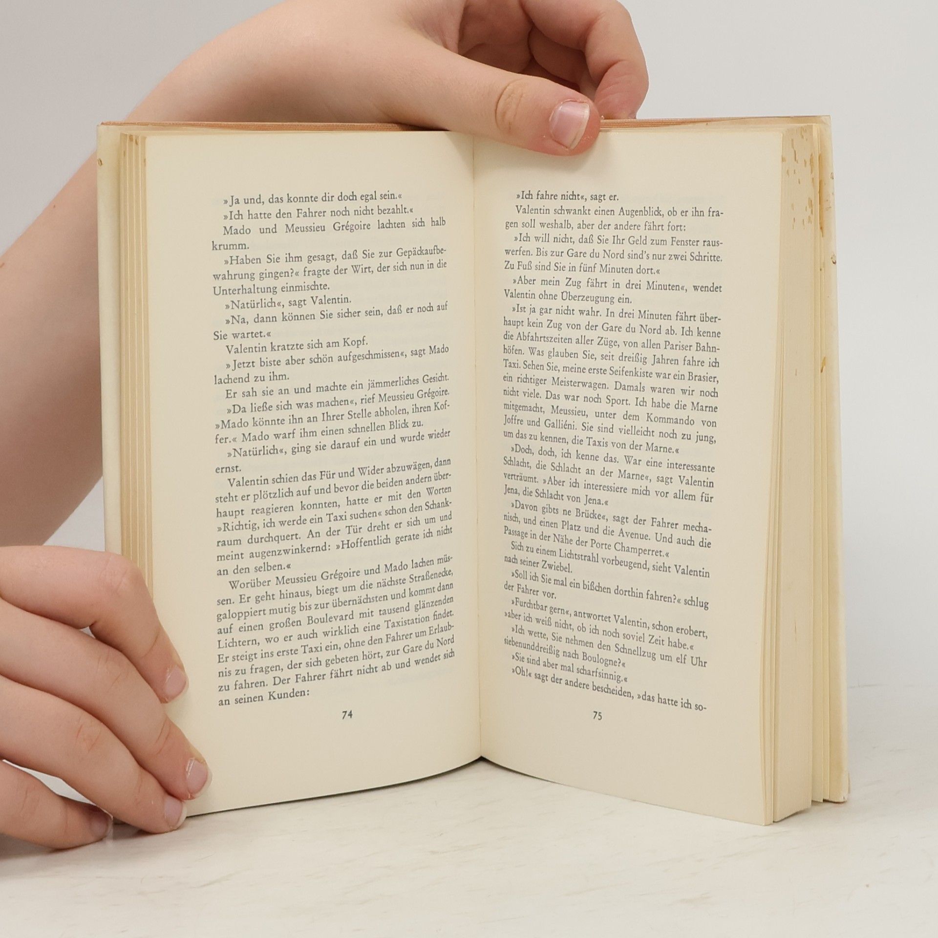 Raymond Queneau Sonntag des Lebens