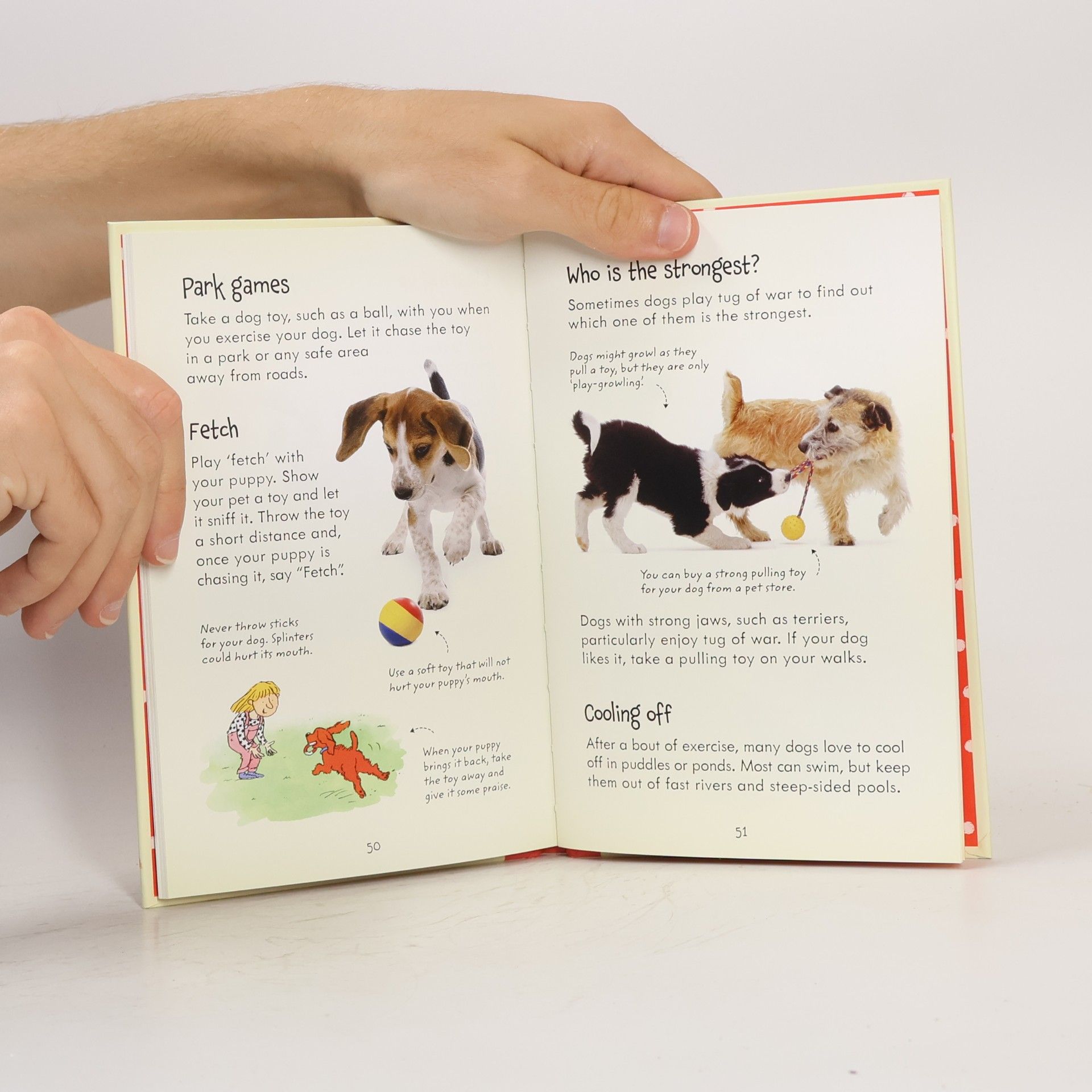 Katherine Starke Looking after Dogs and Puppies