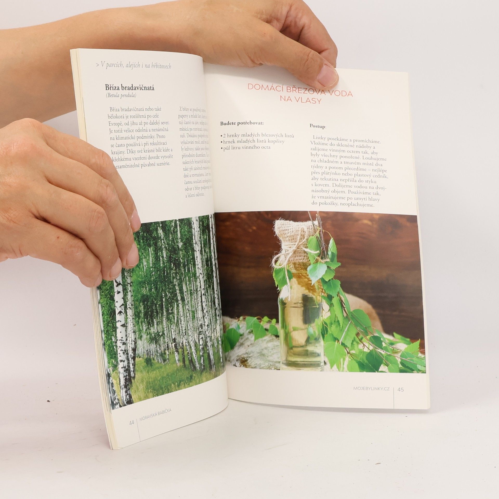 Autorenkollektiv Moravská babička - Jarní knížka