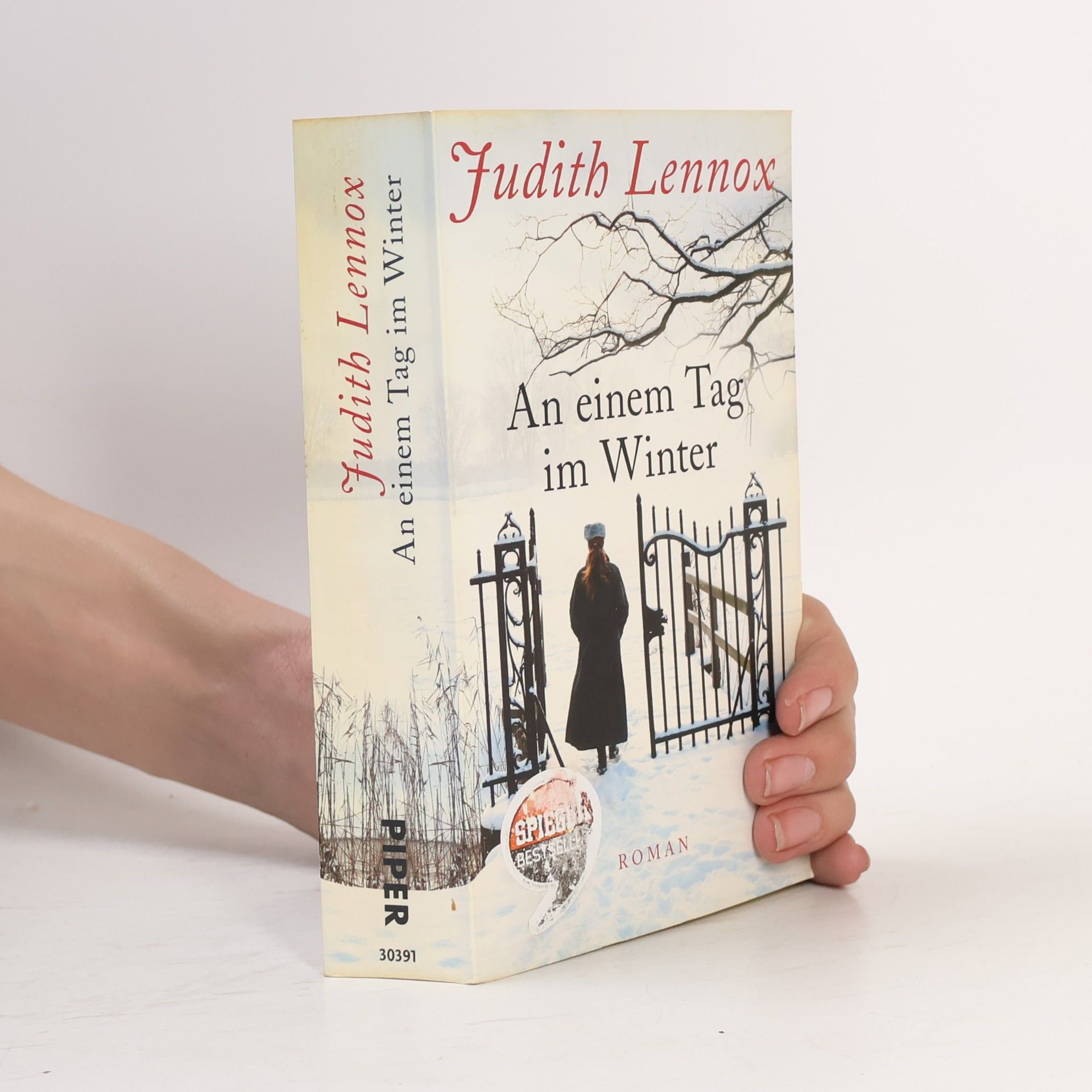 Judith Lennox An einem Tag im Winter