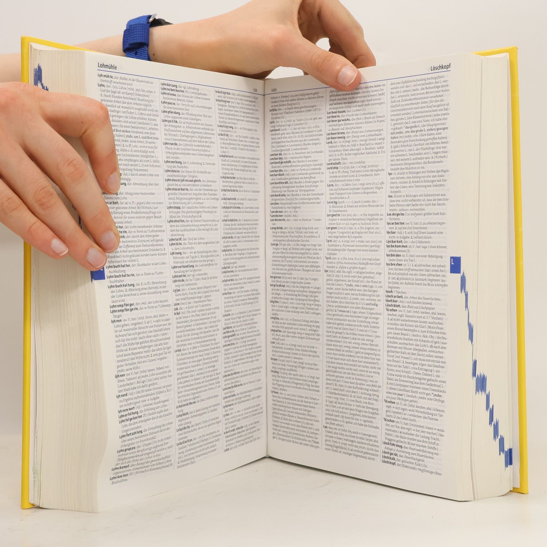 Annette Klosa Duden, Deutsches Universalwörterbuch