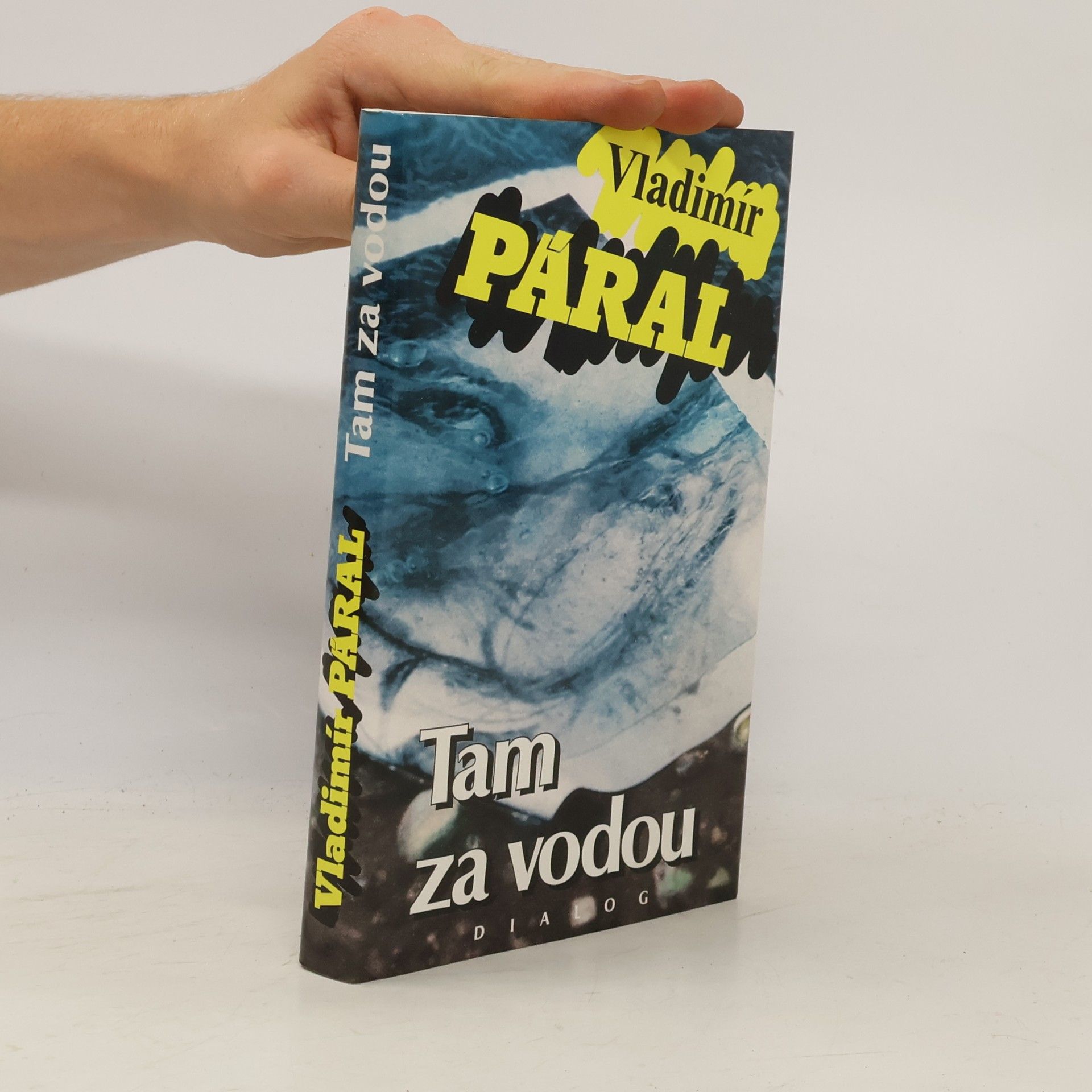 Vladimír Páral Tam za vodou