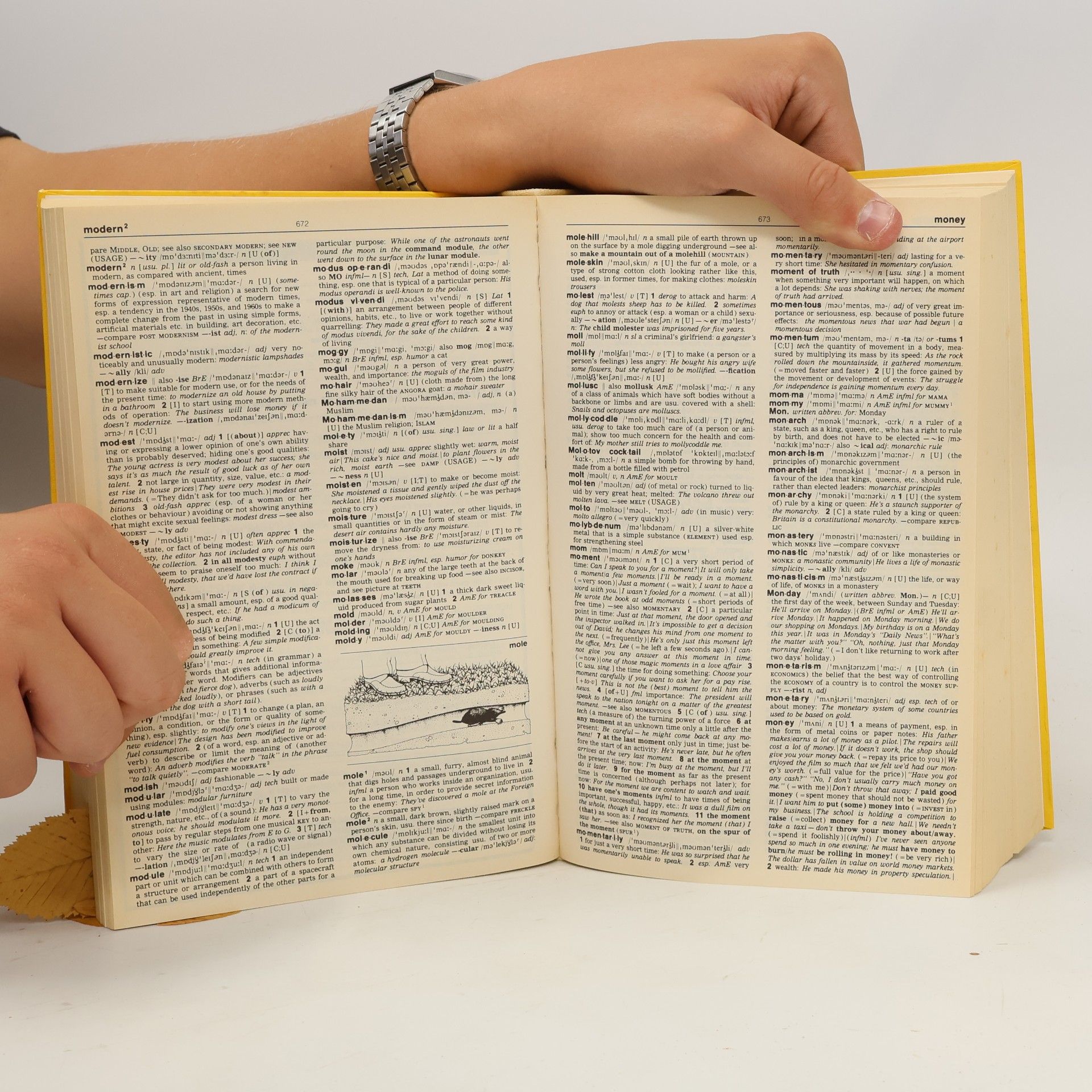 Longman dictionary of contemporary English