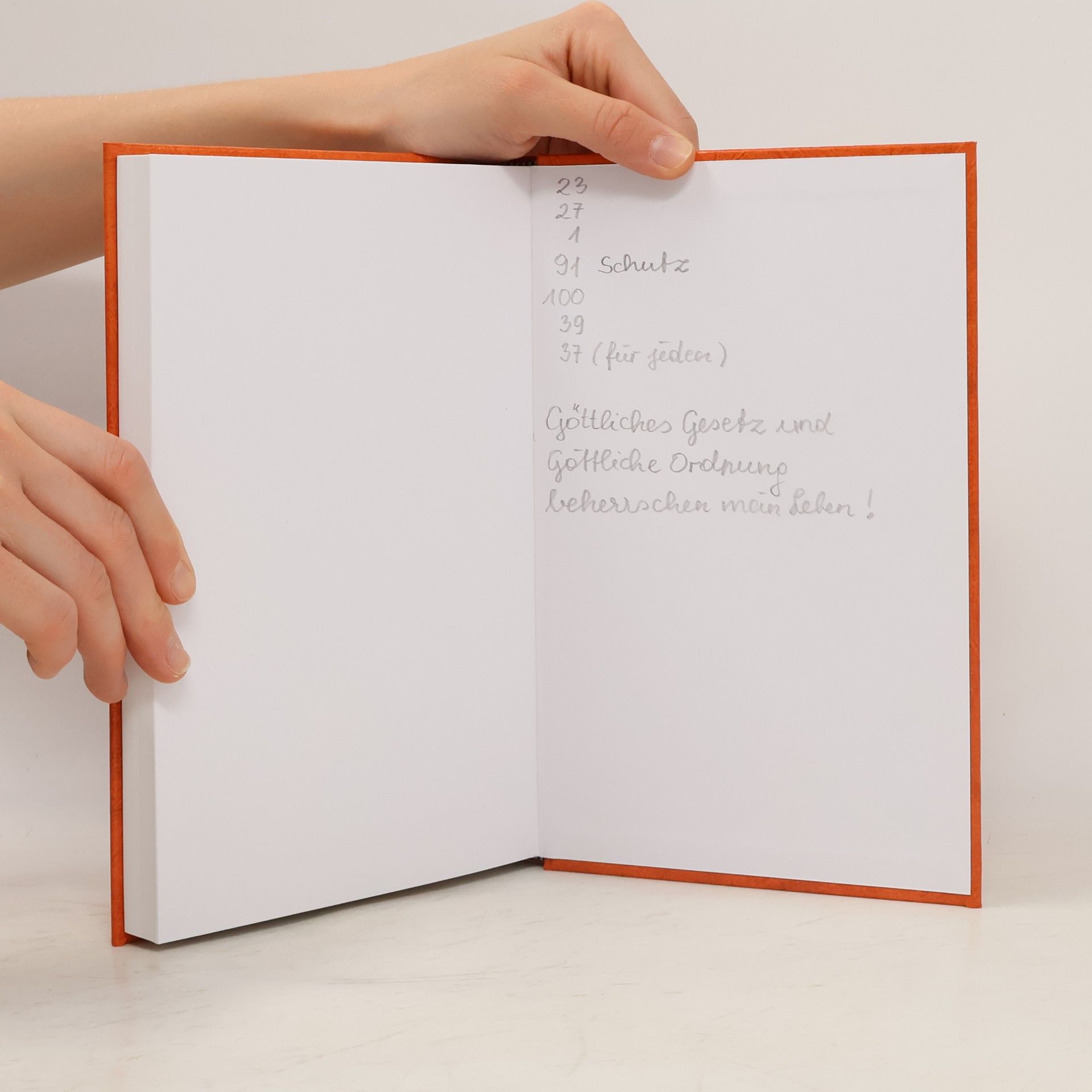 David König Das Buch der Psalmen