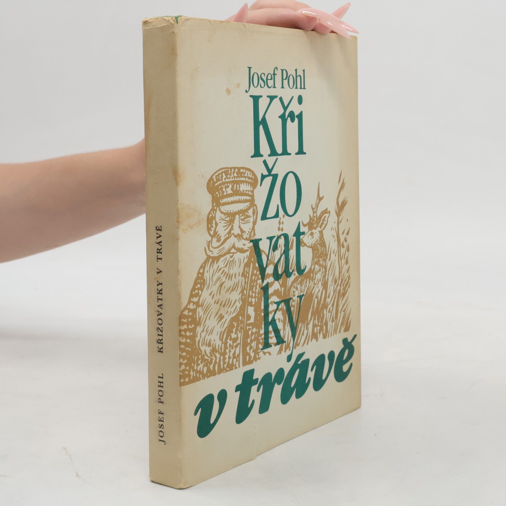 Josef Pohl Křižovatky v trávě