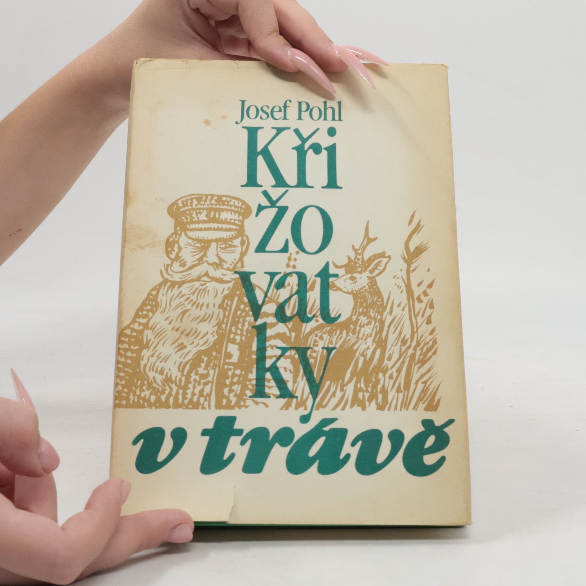 Josef Pohl Křižovatky v trávě