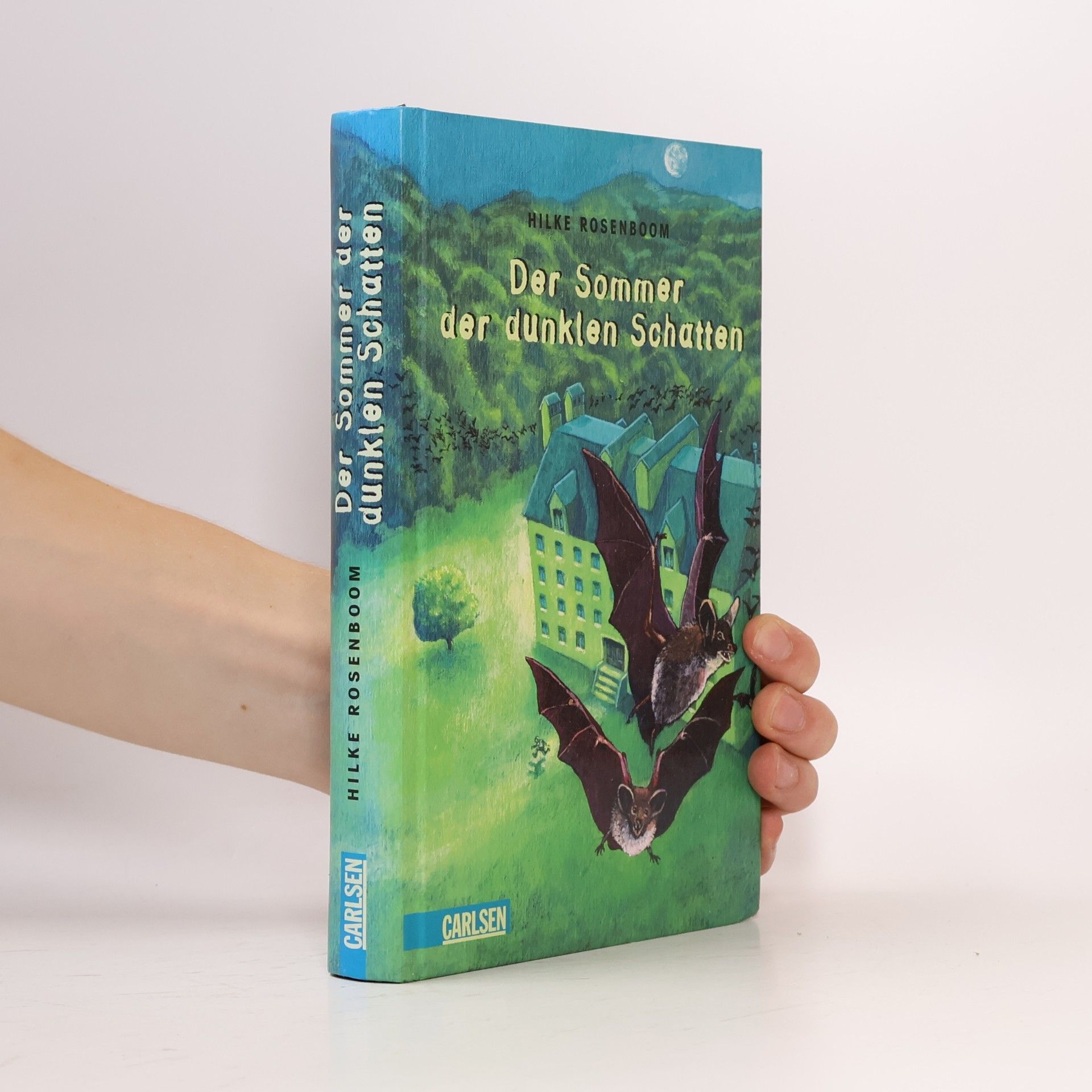 Hilke Rosenboom Der Sommer der dunklen Schatten