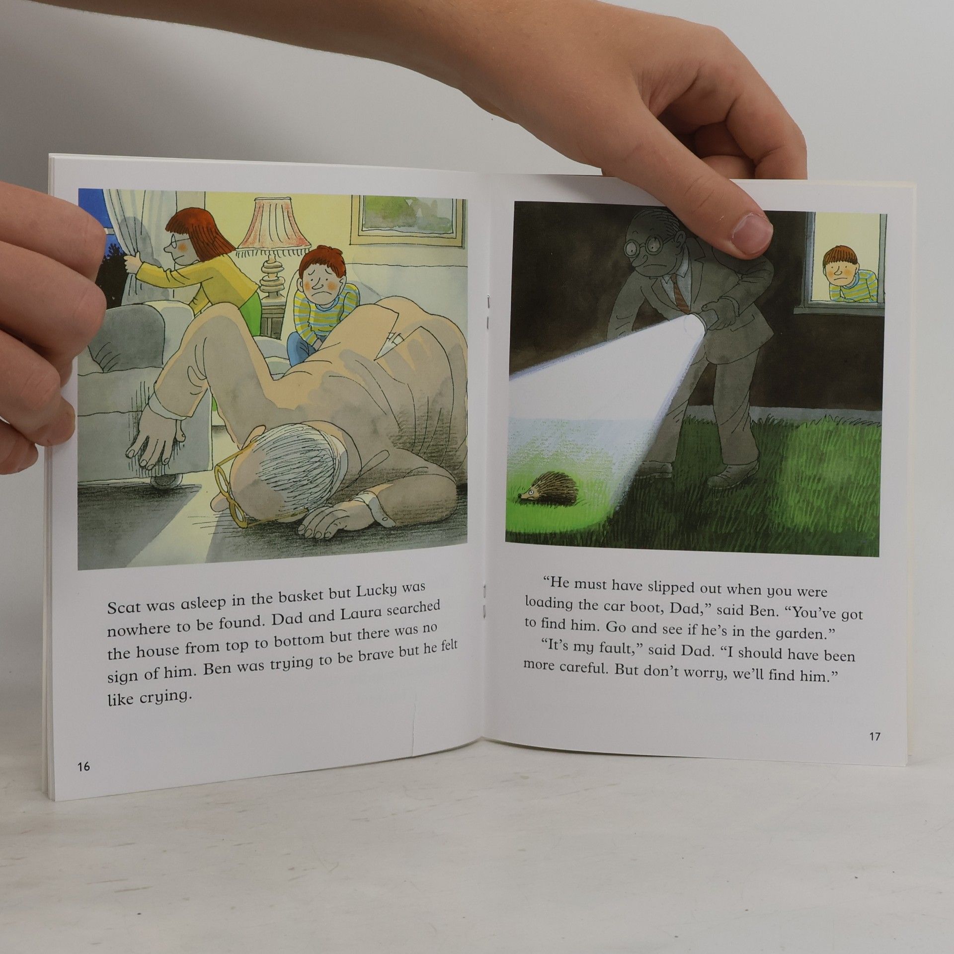 Roderick Hunt Oxford Reading Tree - Robins Pack 2: The Surprise