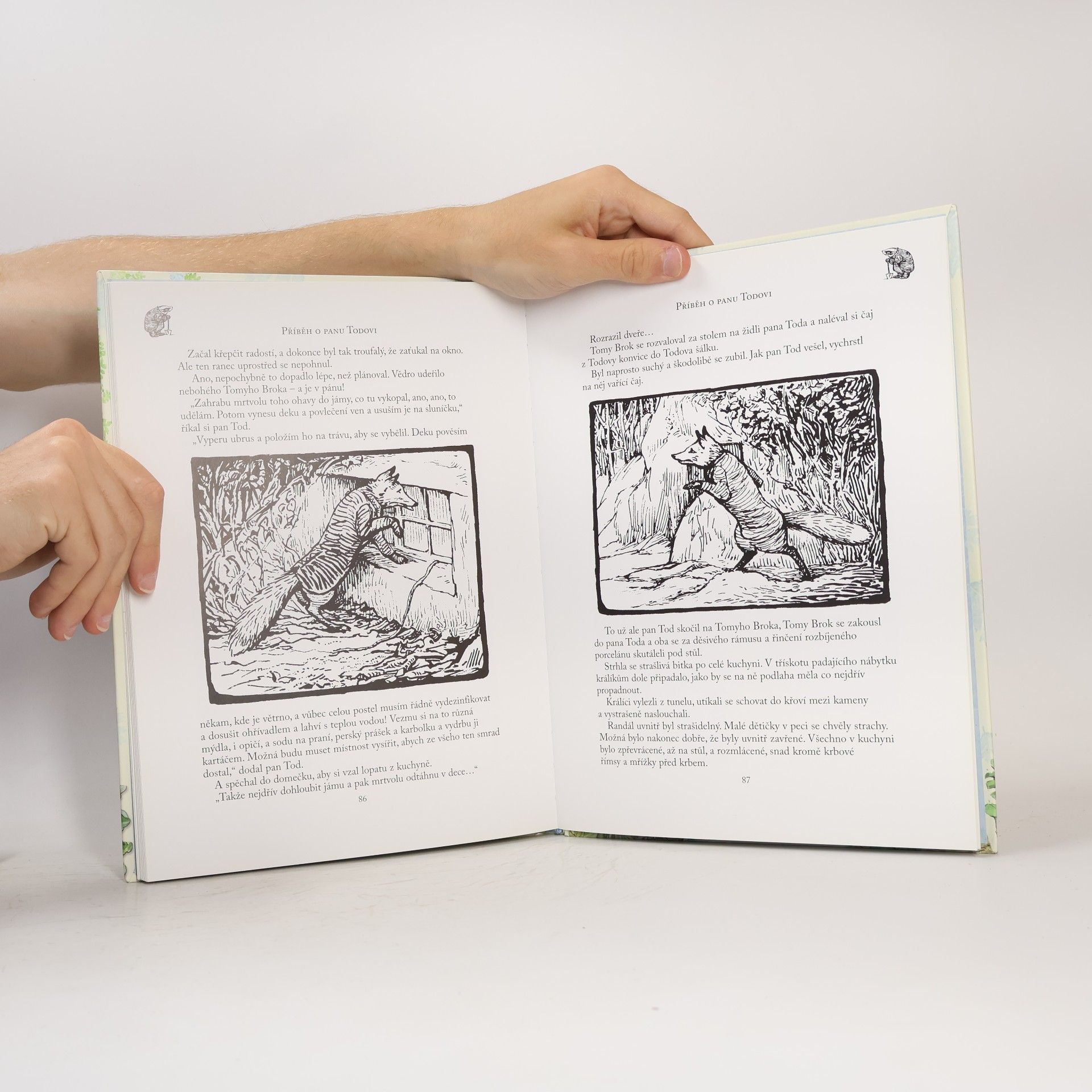 Beatrix Potter Dobrodružství králíčka Petra