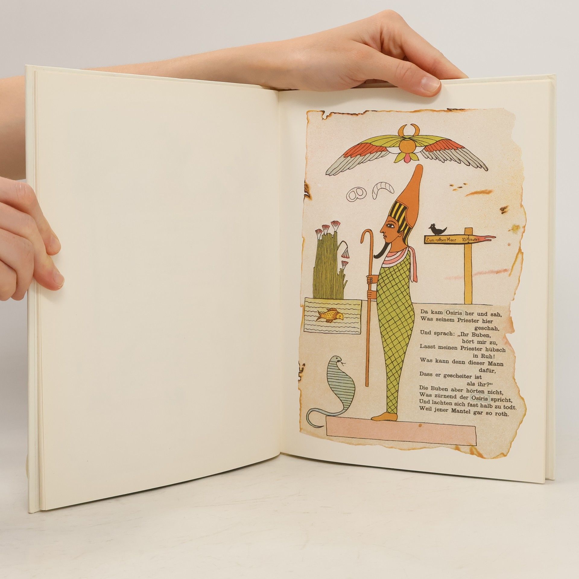 Autorenkollektiv Der aegyptische Struwwelpeter