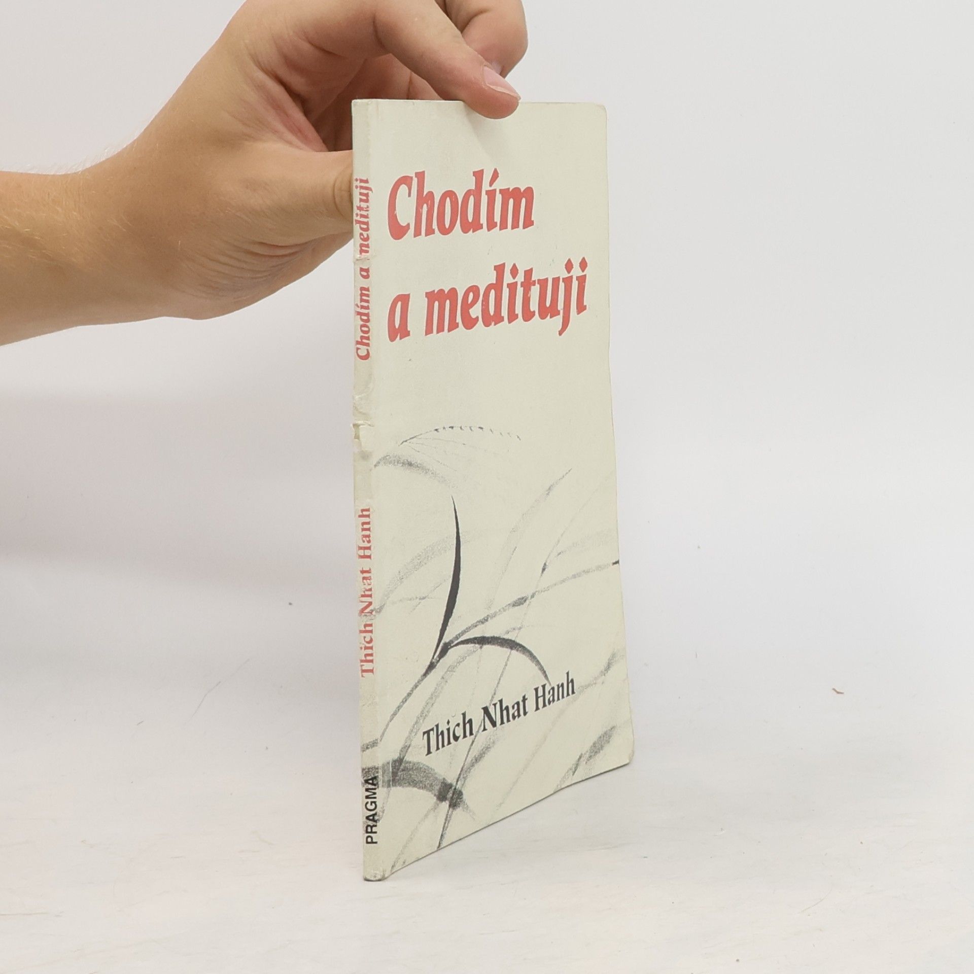 Thích Nhất Hạnh Chodím a medituji