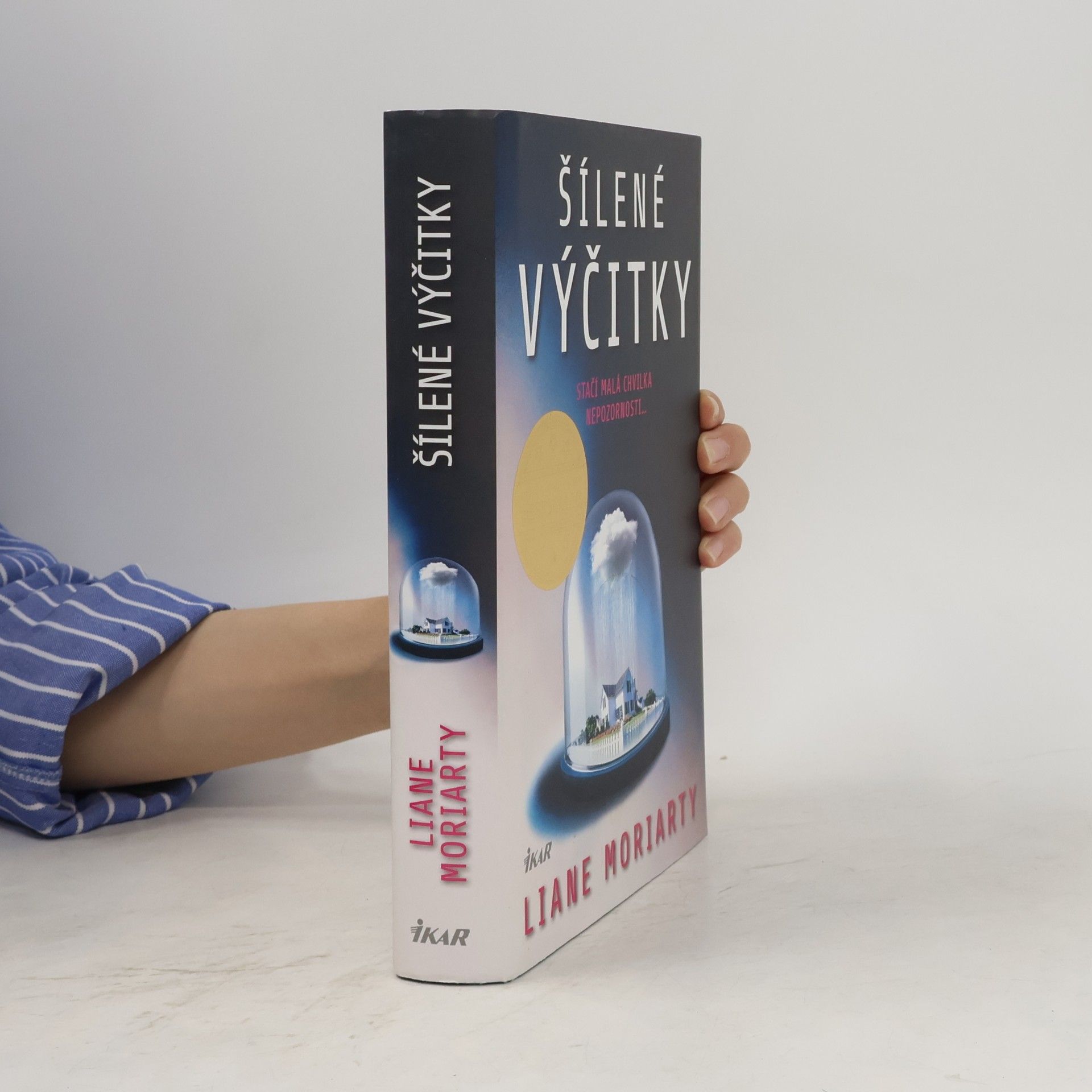Liane Moriarty Šílené výčitky