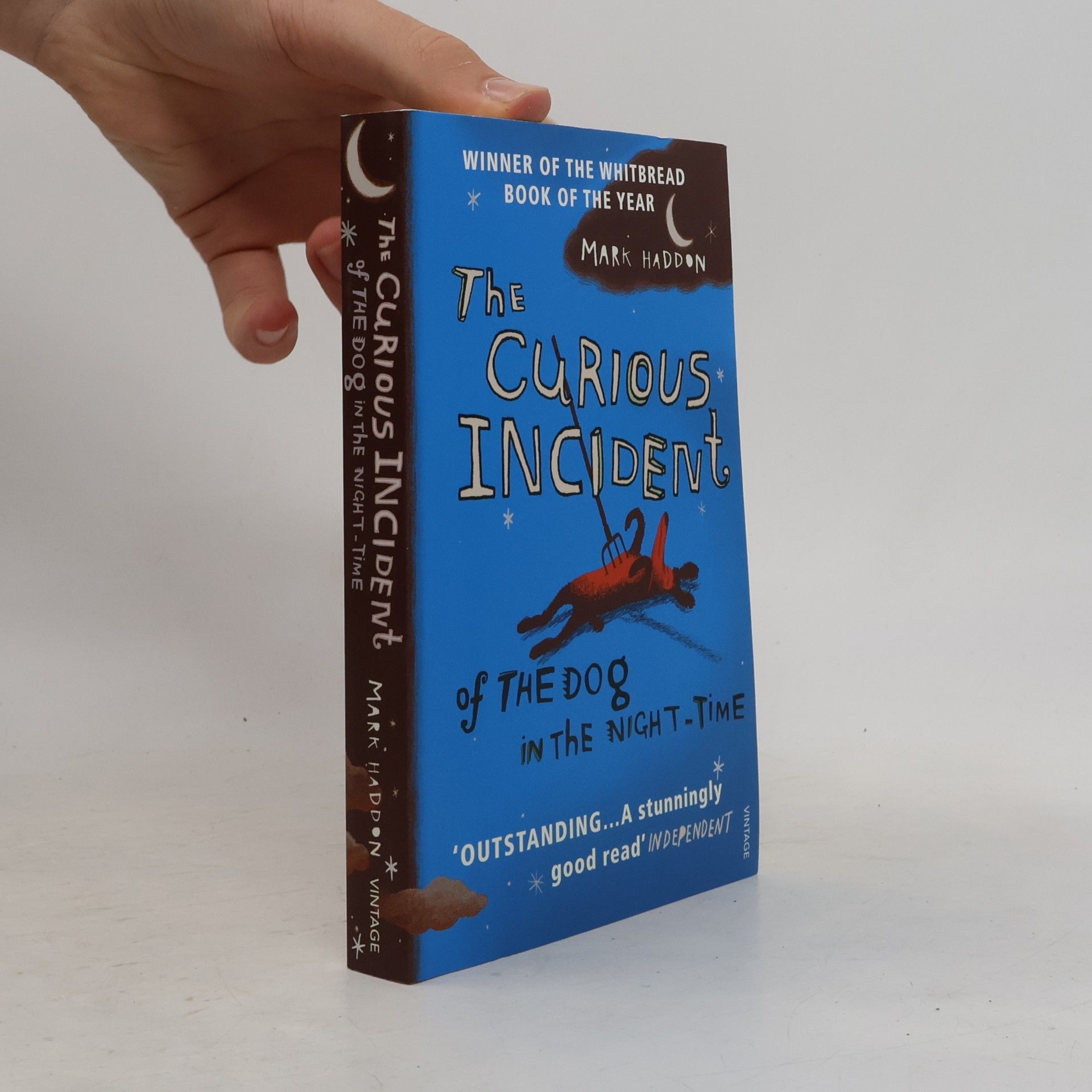 Mark Haddon The Curious Incident of the Dog in the Night-Time
