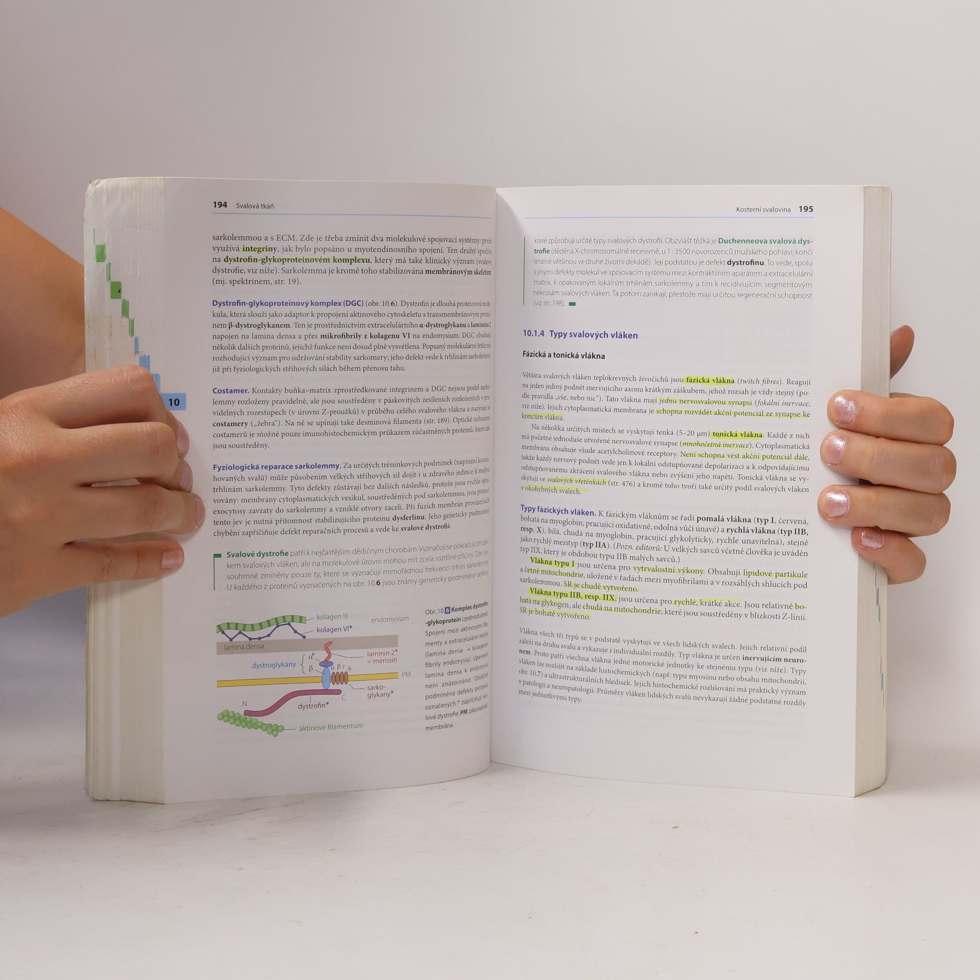 Renate Lüllmann-Rauch Histologie