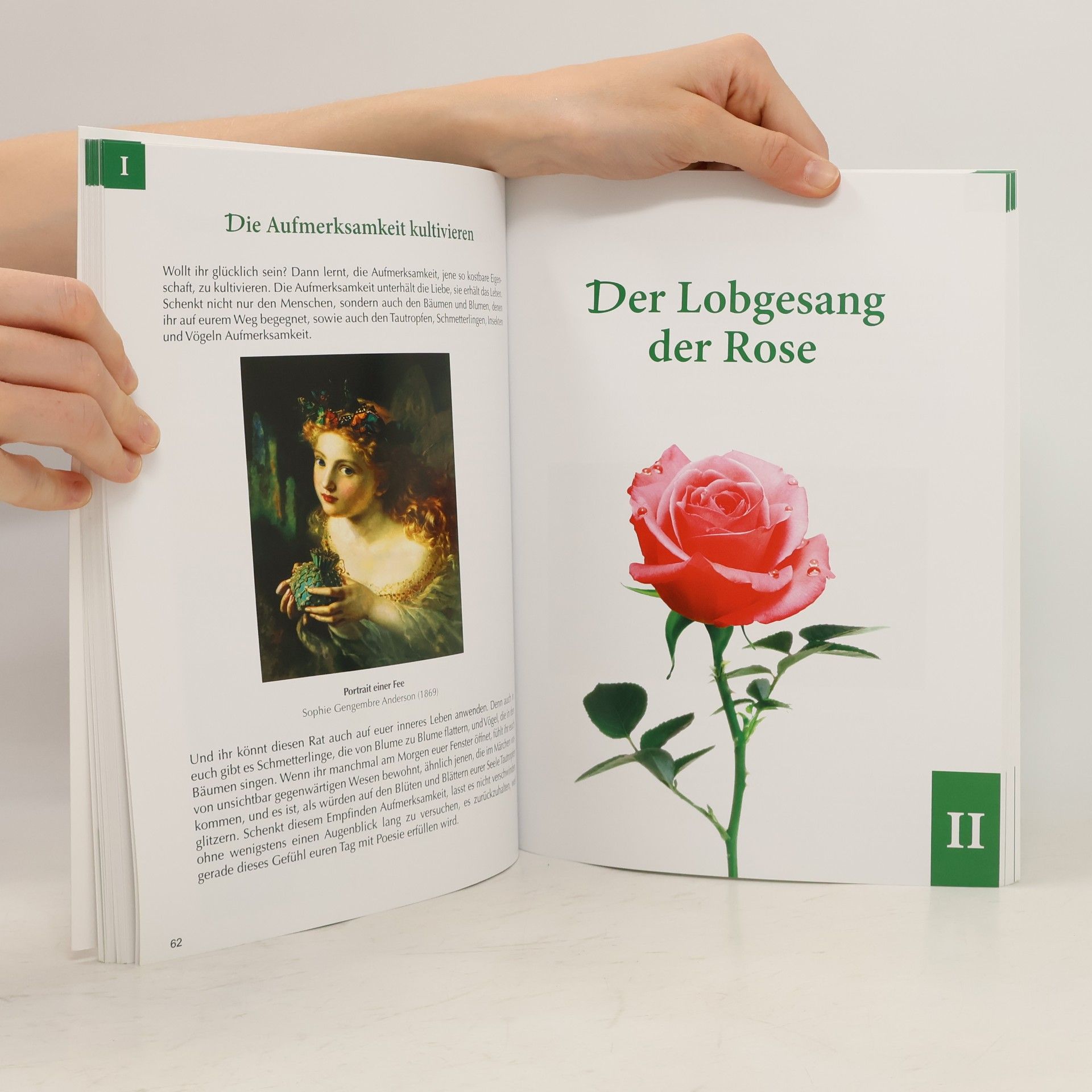 Omraam Mikhaël Aivanhov Die Botschaft der Blumen