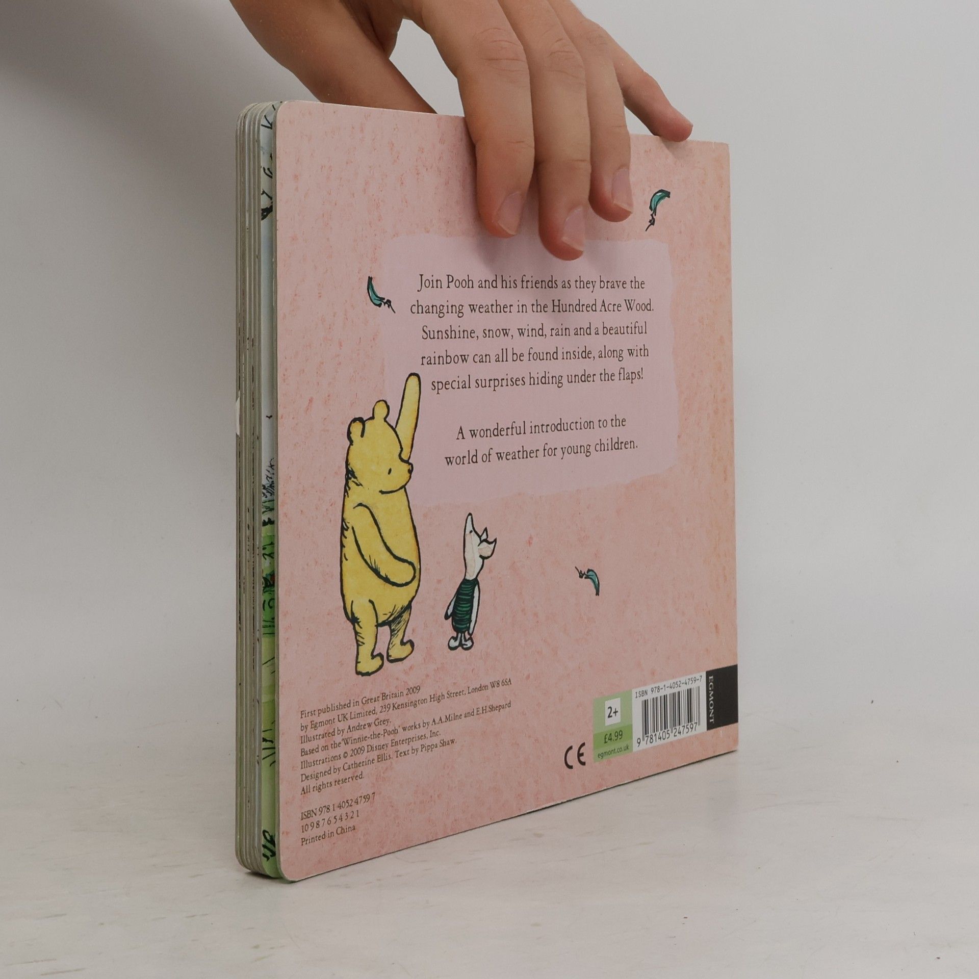 Andrew Grey Winnie-the-Pooh: Weather