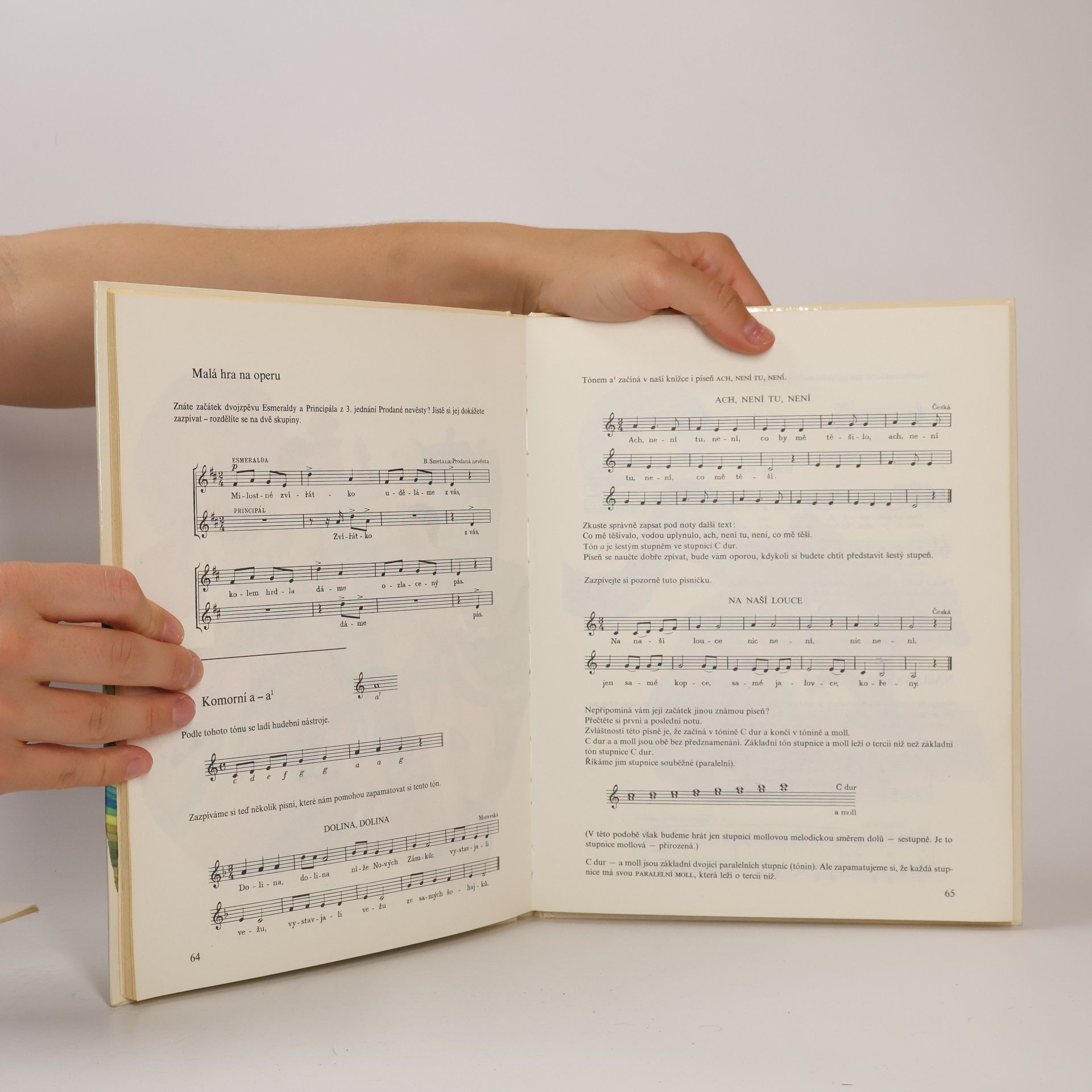 Neoralová Jaroslava Mladí muzikanti II.