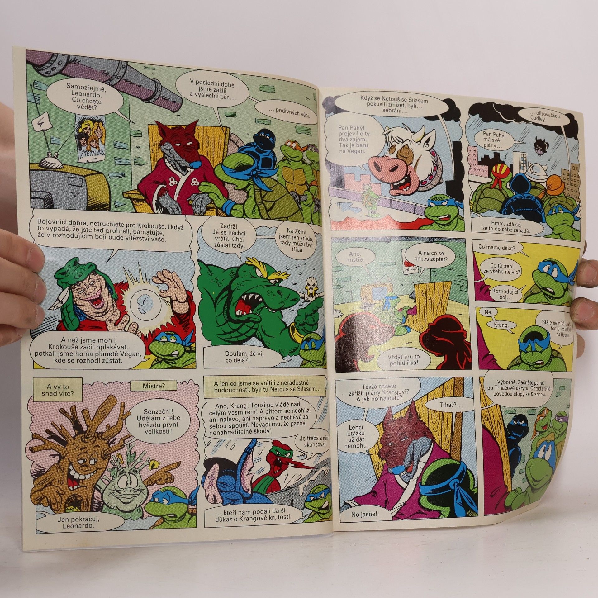 Dean Clarrain Teenage Mutant Hero Turtles #13