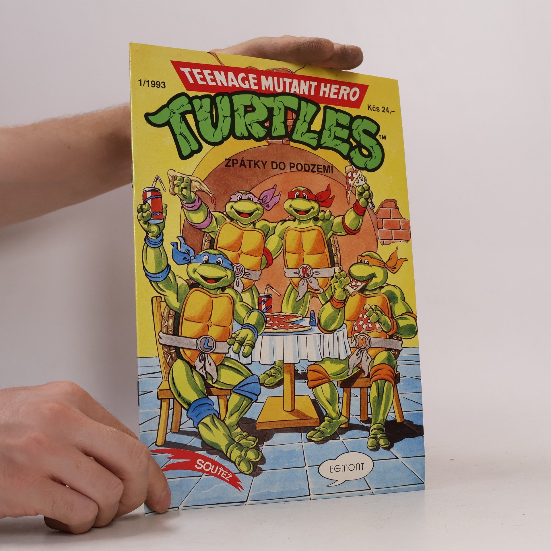Dean Clarrain Teenage Mutant Hero Turtles #13
