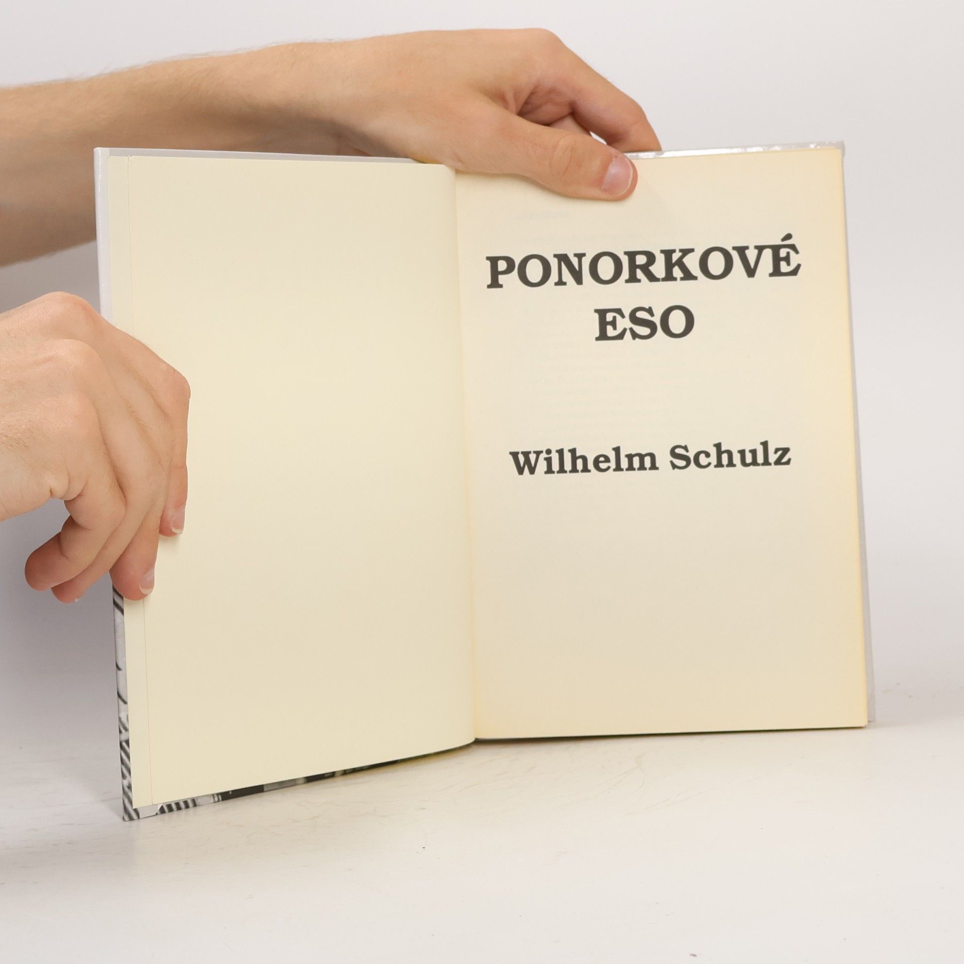 Georg Wilhelm Schulz Ponorkové eso