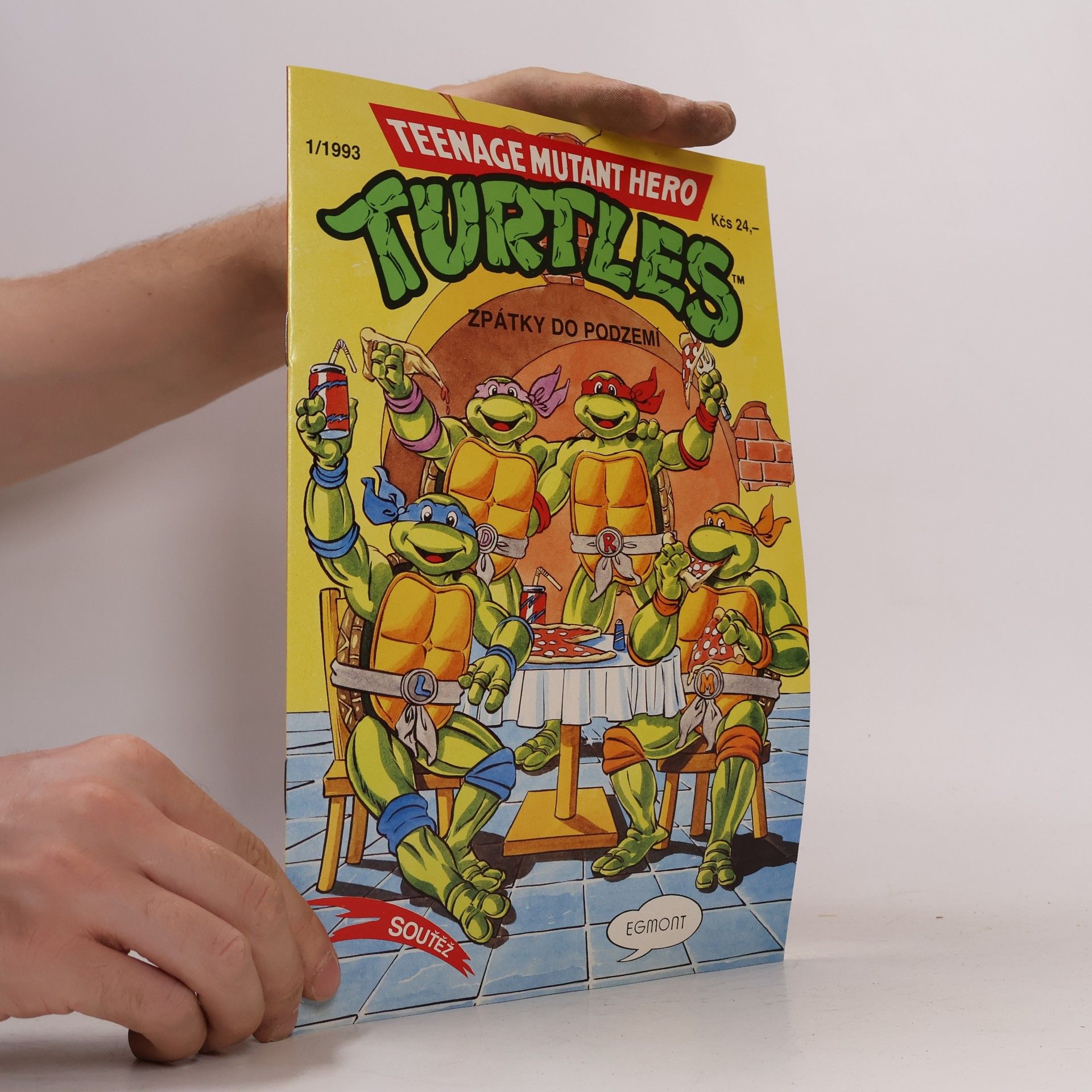 Dean Clarrain Teenage Mutant Hero Turtles #13