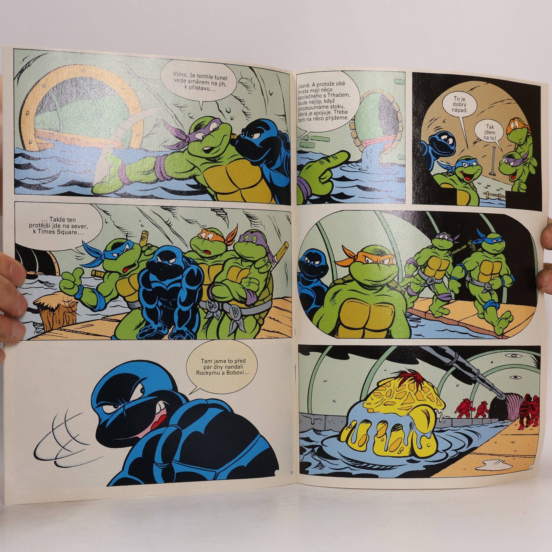 Dean Clarrain Teenage Mutant Hero Turtles #13