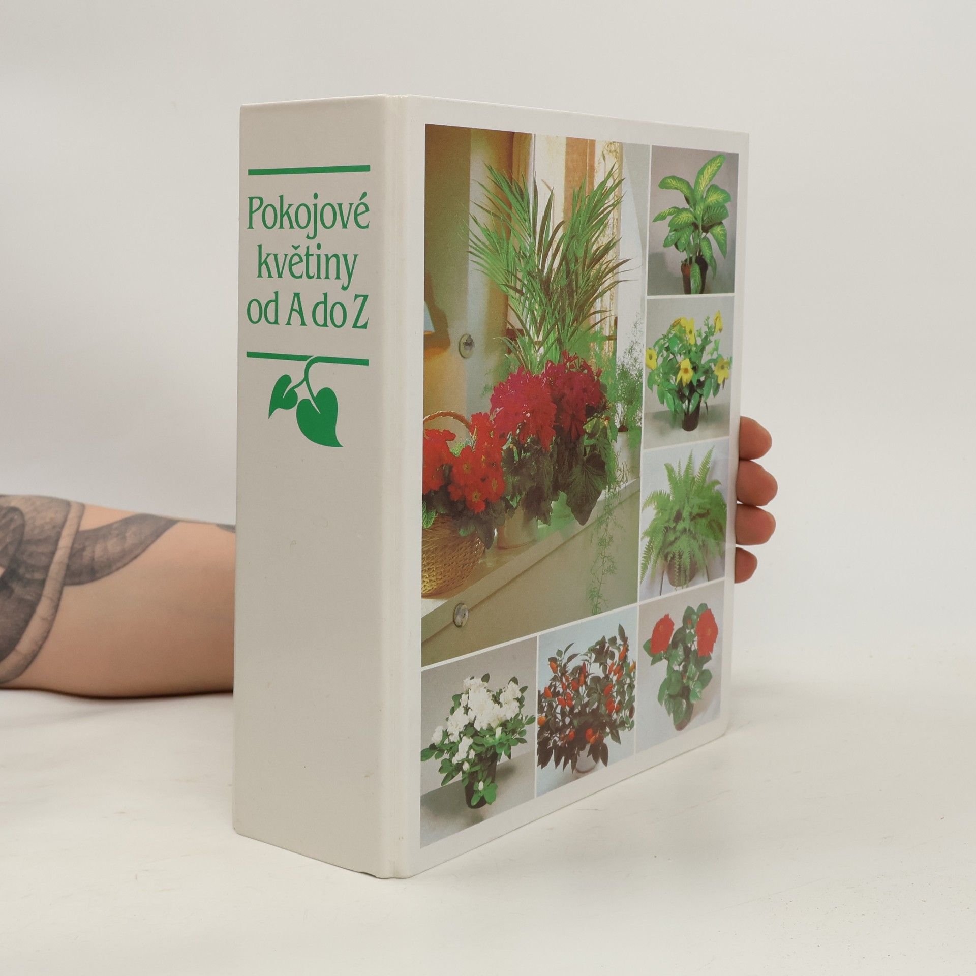 Autores varios Pokojové květiny od A do Z