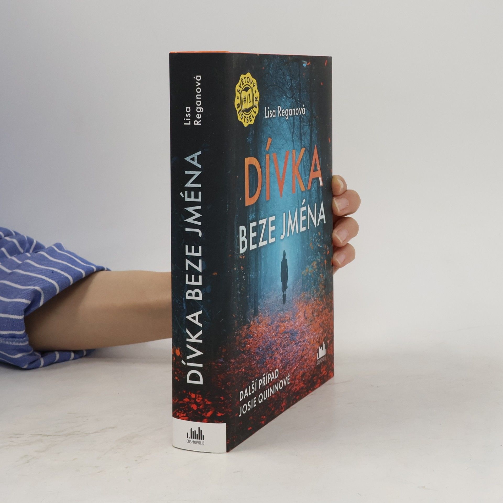 Lisa Regan Dívka beze jména: Další případ Josie Quinnové