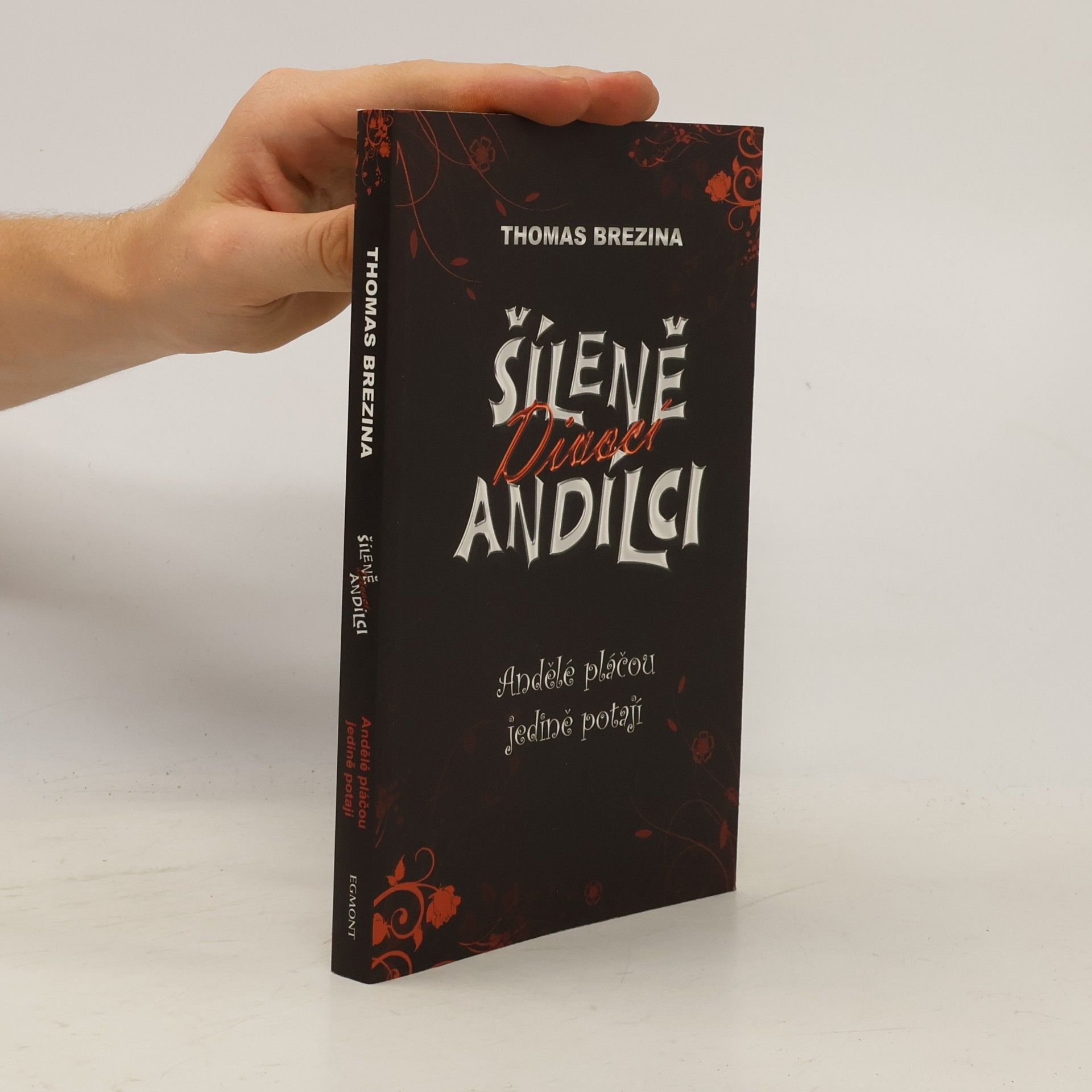Thomas Brezina Andělé pláčou jedině potají