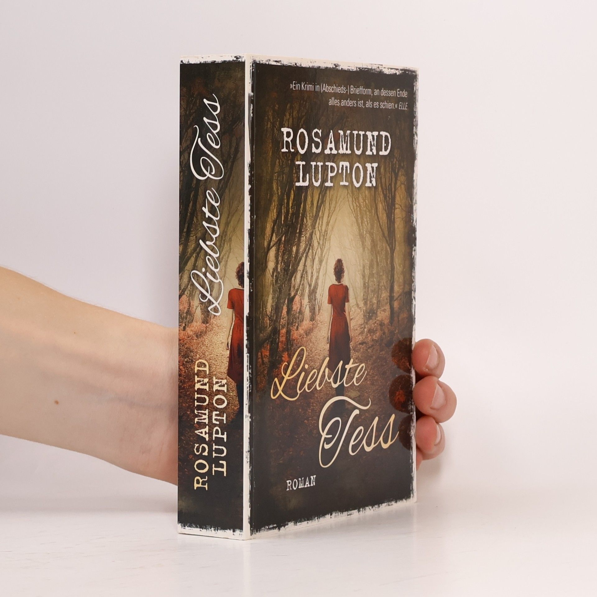 Rosamund Lupton Liebste Tess