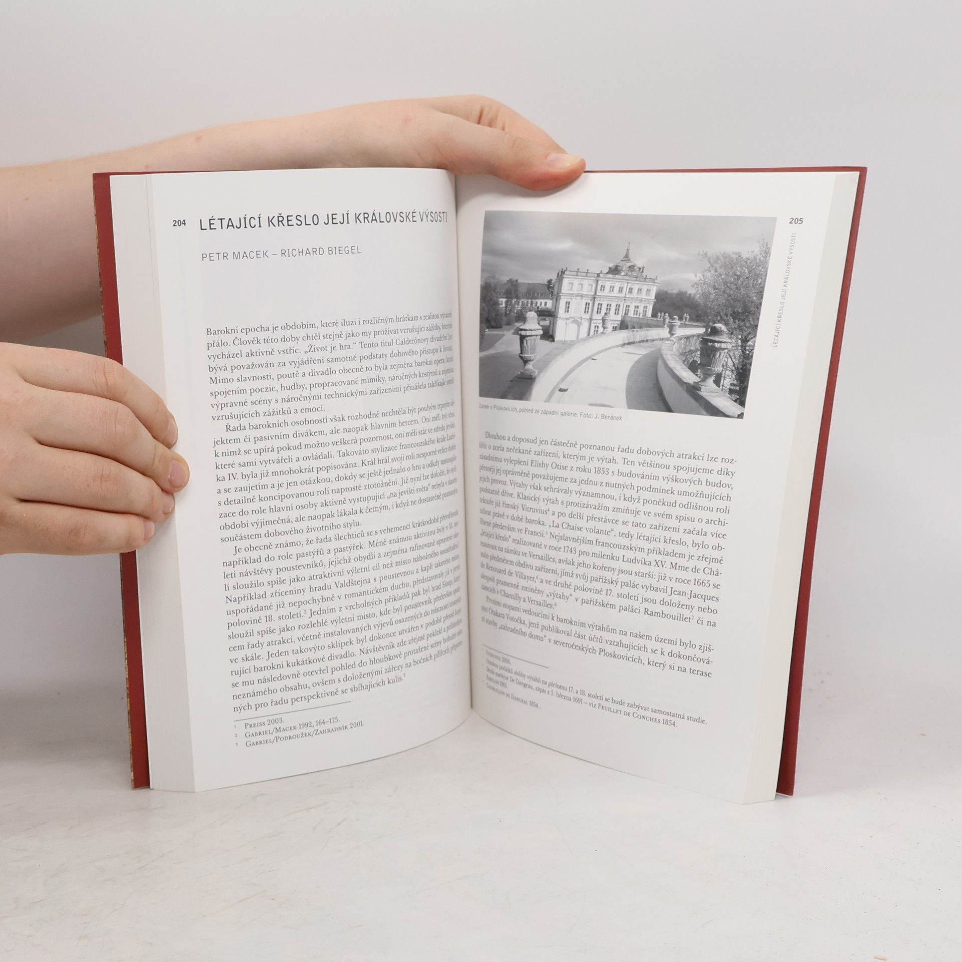 Collectif d'auteurs Ikonografie: témata, motivy, interpretace : kniha k poctě Jana Royta