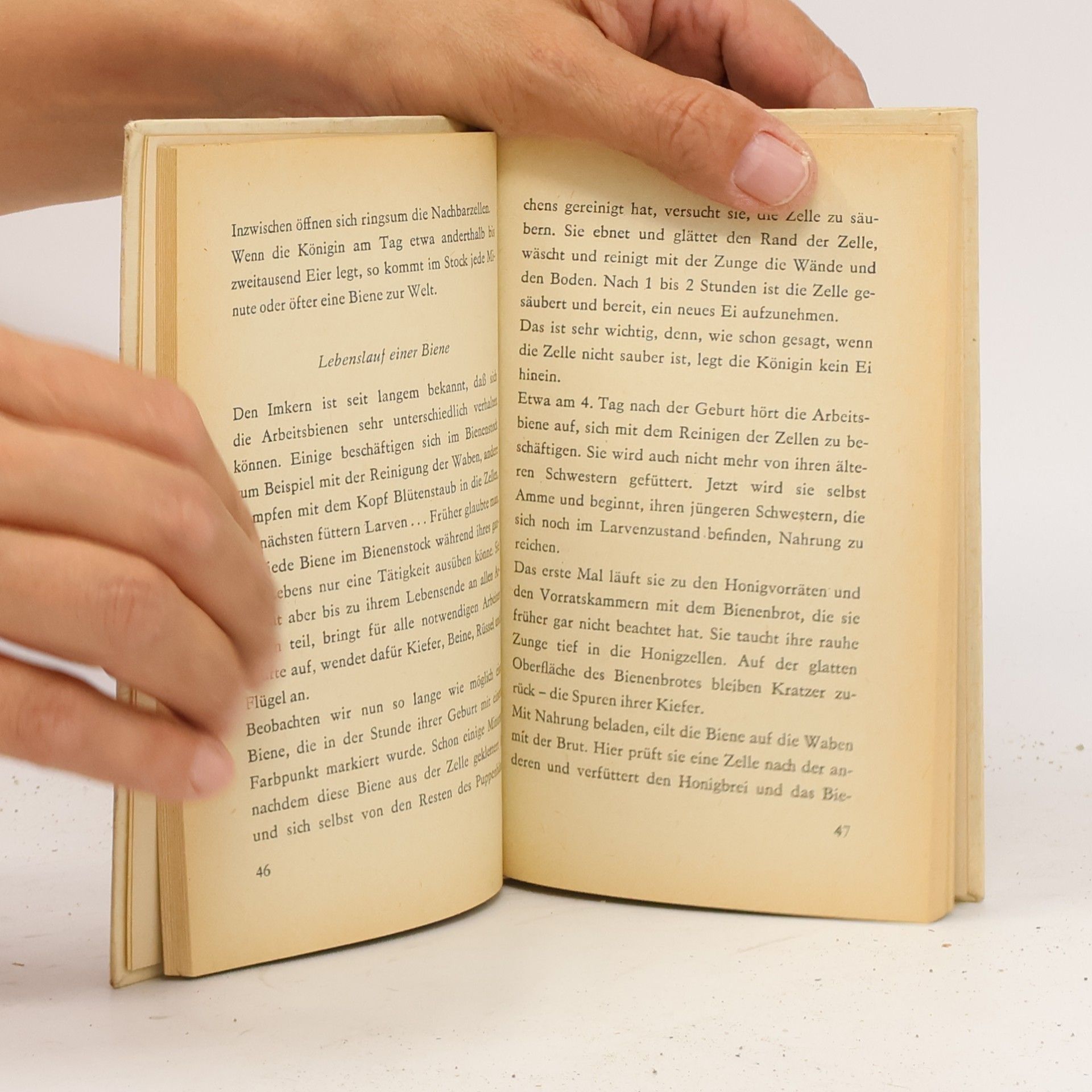 Jossif Chalifman Kleines Bienenbuch