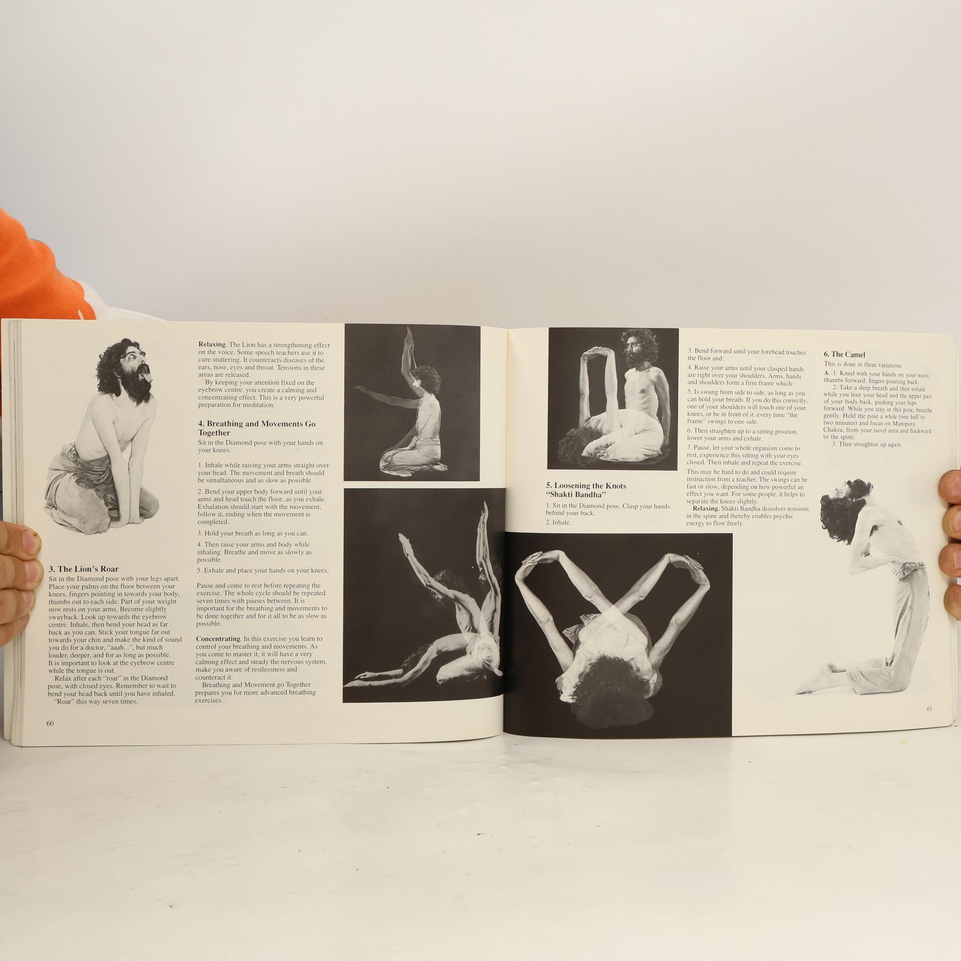 Swami Janakananda Saraswati Yoga, Tantra And Meditation In Daily Life