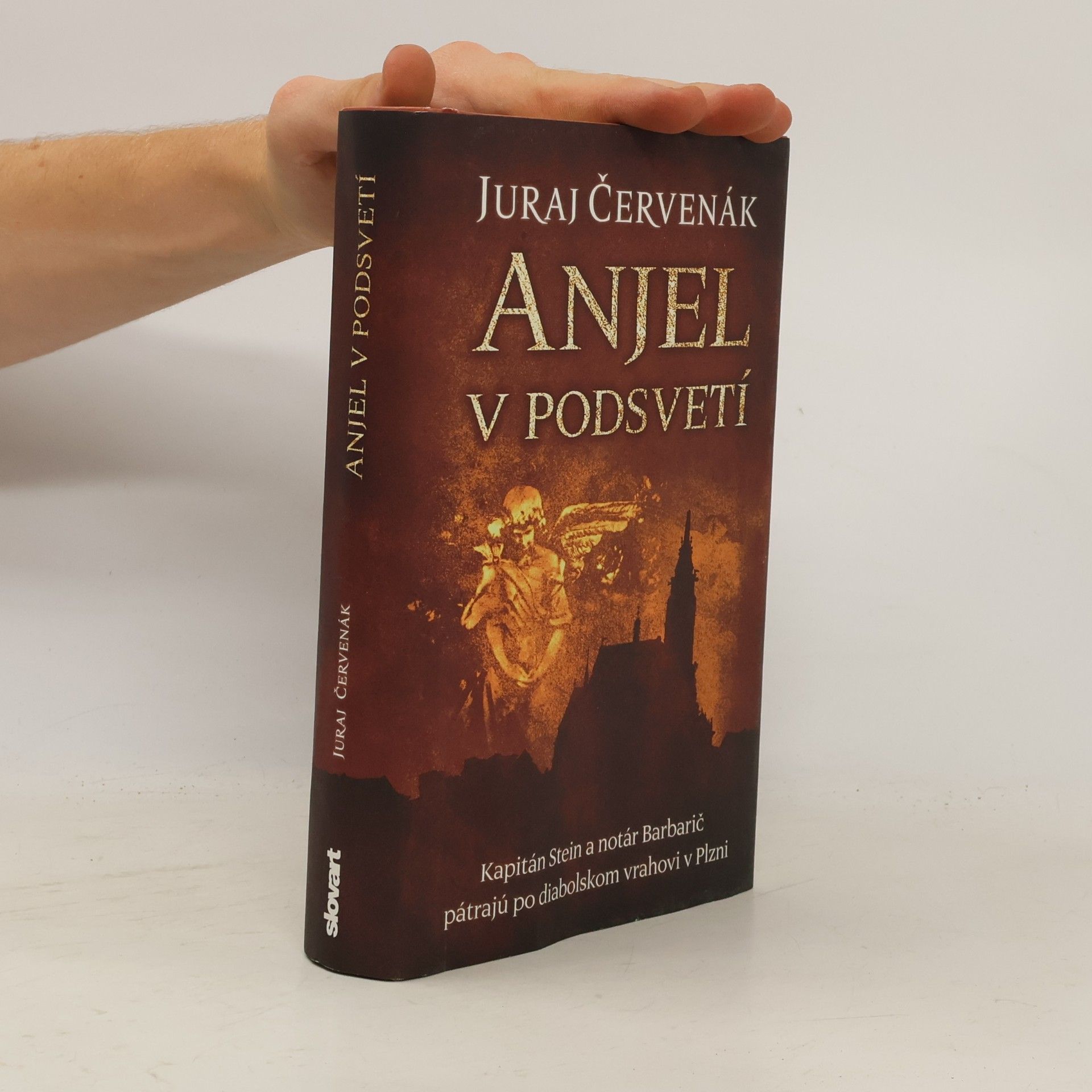 Anjel v podsvetí