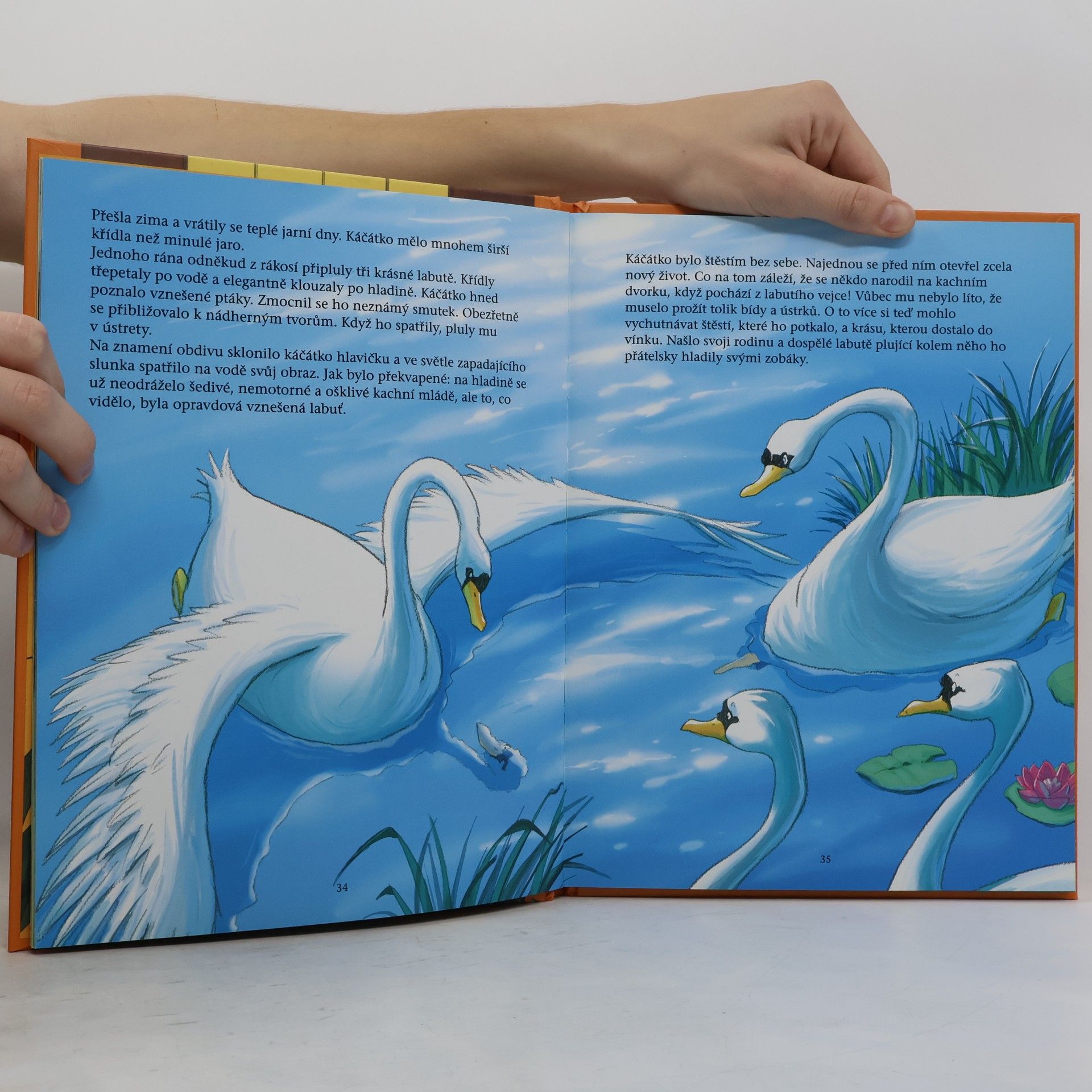 Hans Christian Andersen Nejkrásnější pohádky Hanse Christiana Andersena