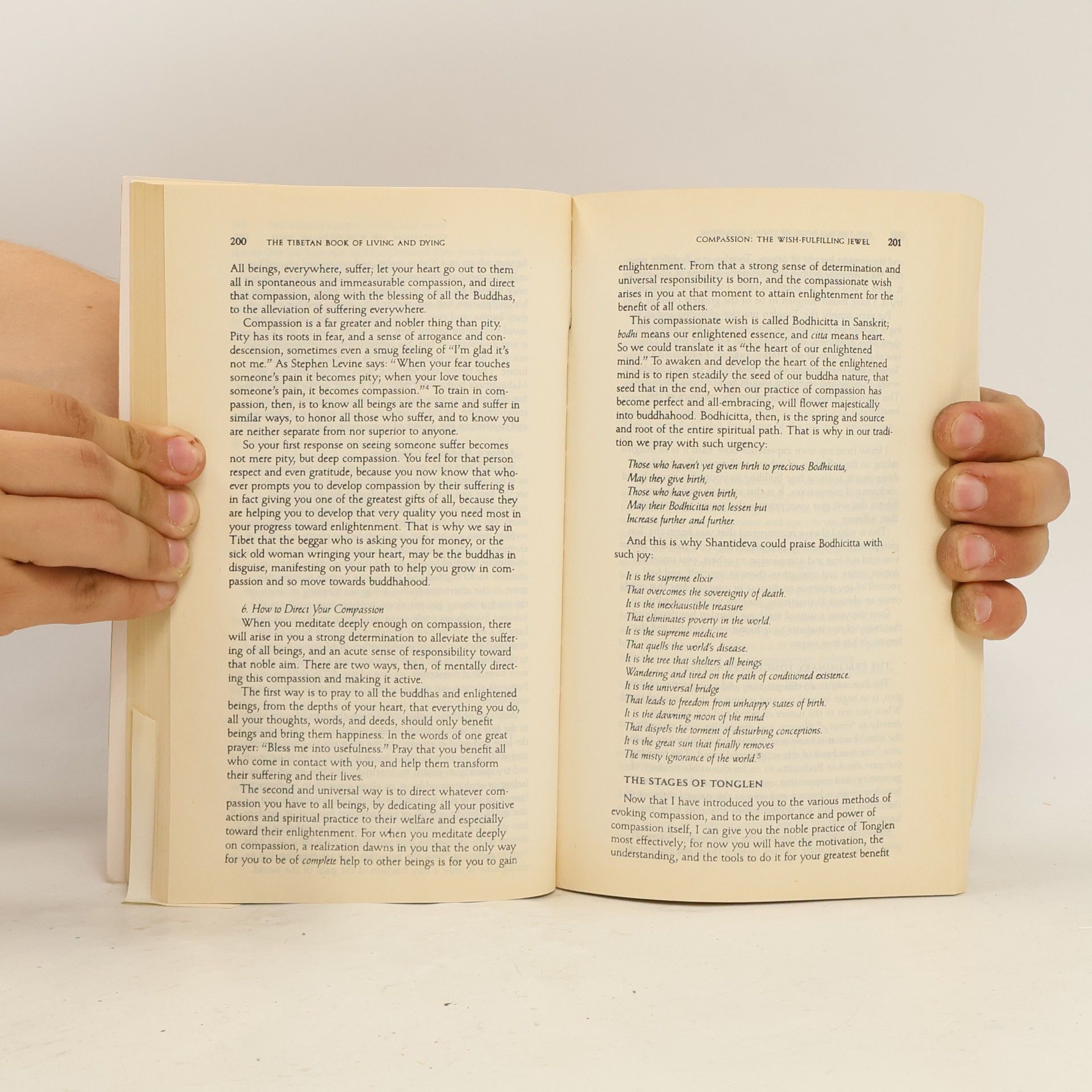 Sogyal Rinpoche The Tibetan Book of Living and Dying